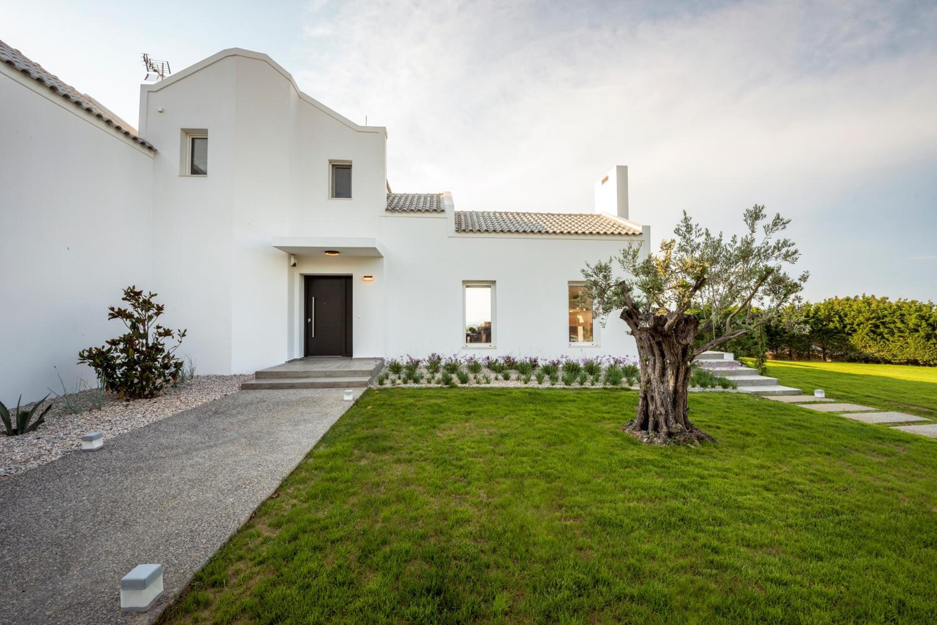 Superior Villa photo 2