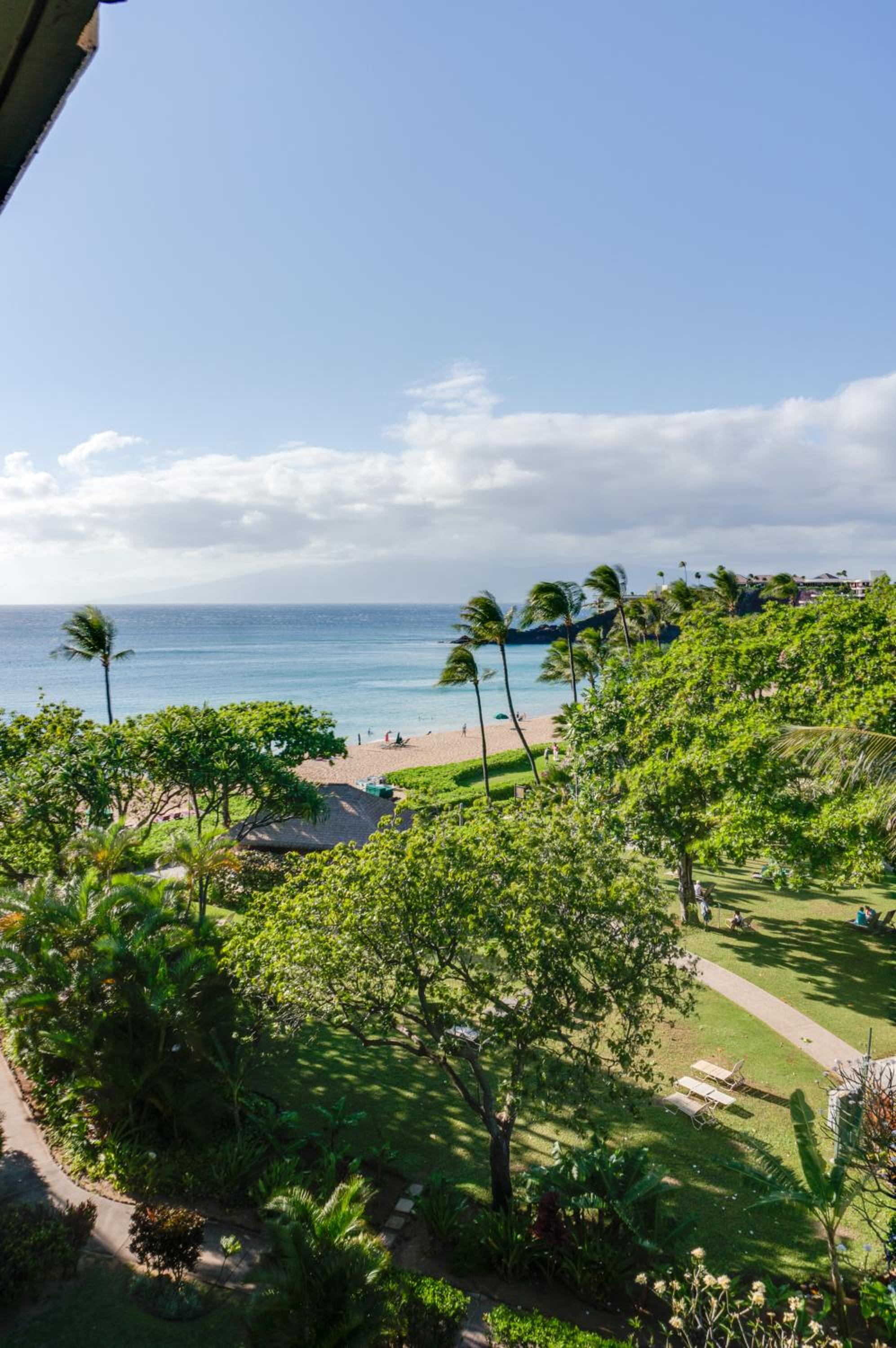 Signature Ocean View 1 King Bed - Photo 18