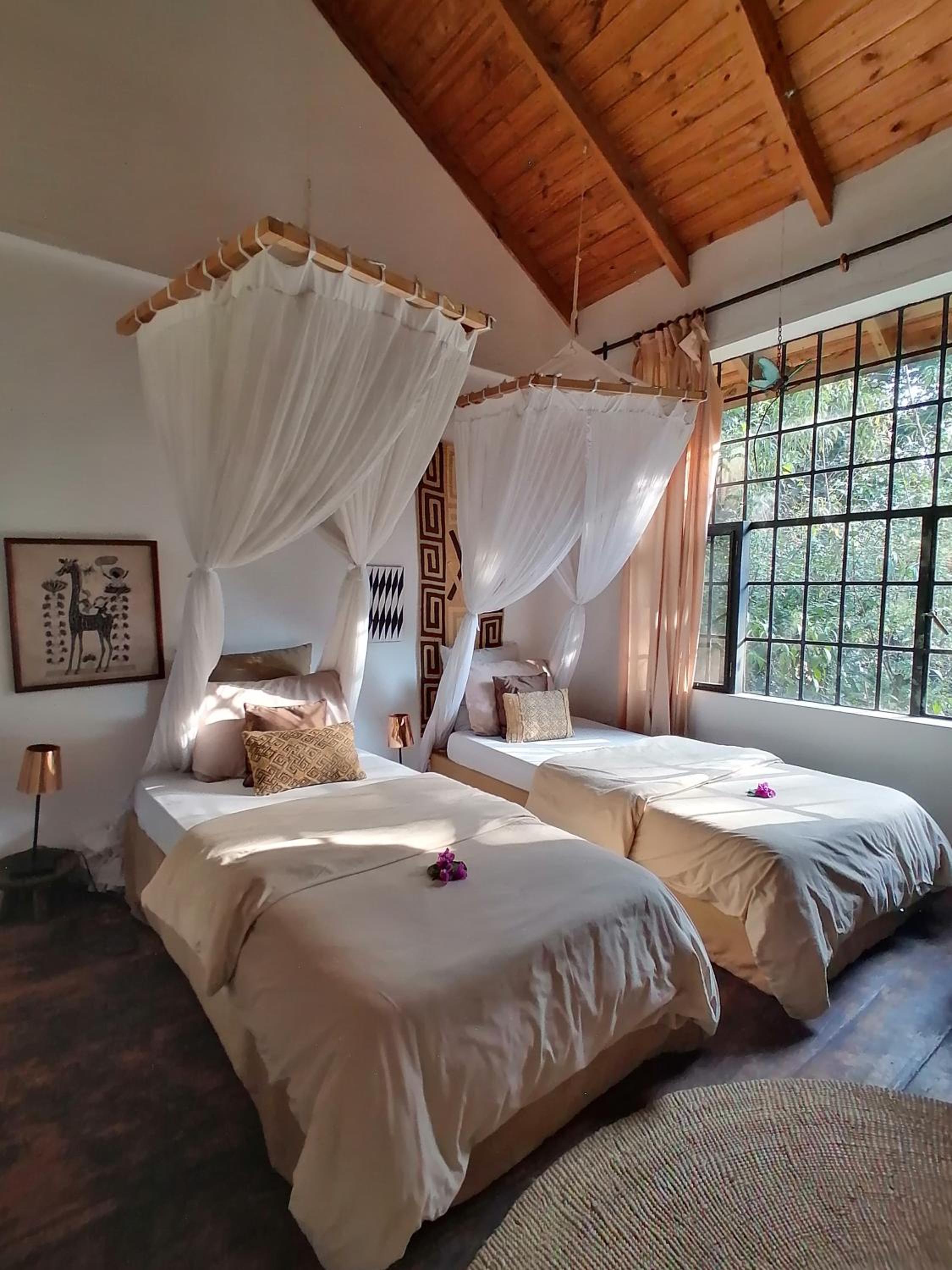 Luxury Twin Room
