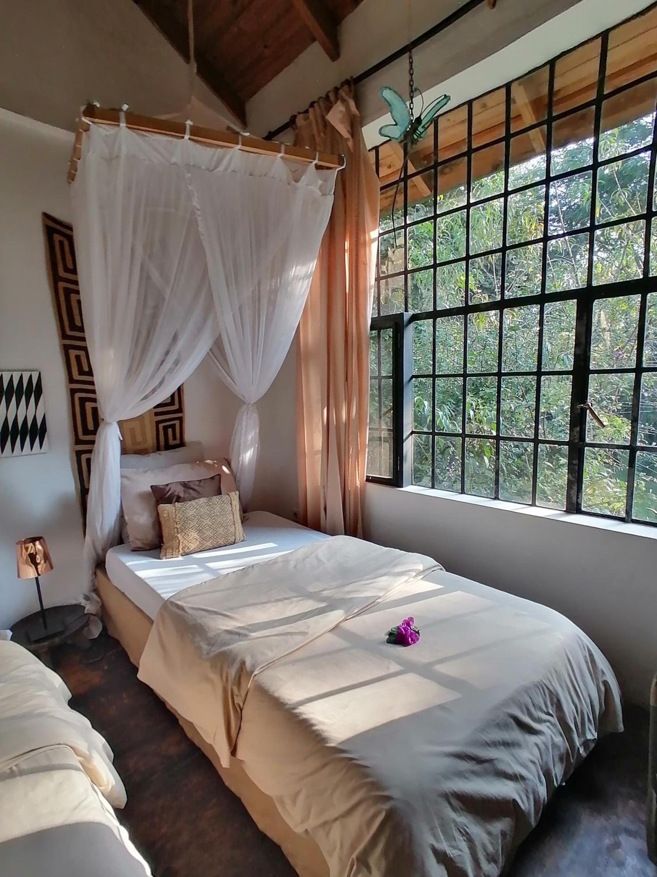 Luxury Twin Room photo 2