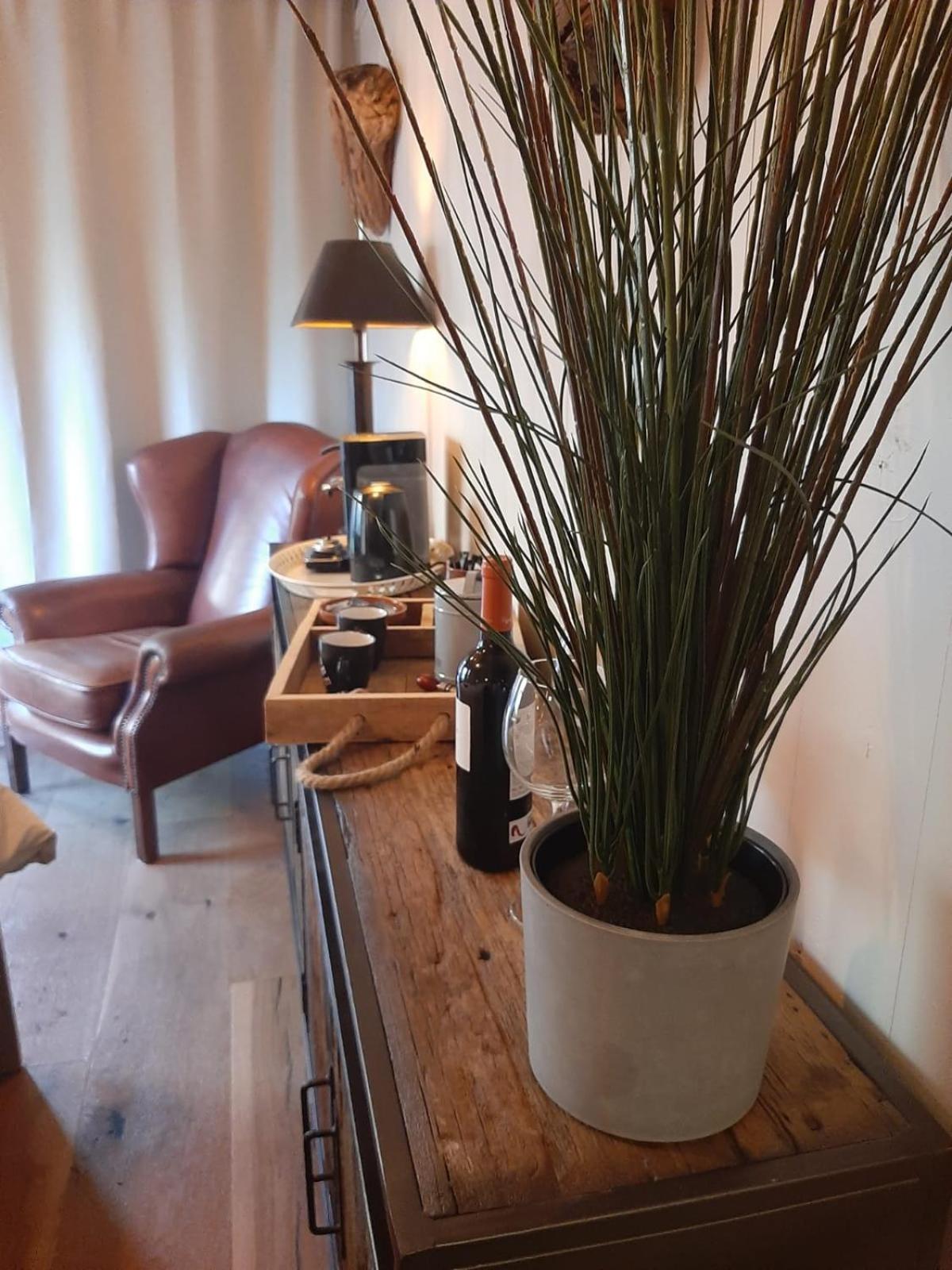 Double Room with Patio - Photo 6
