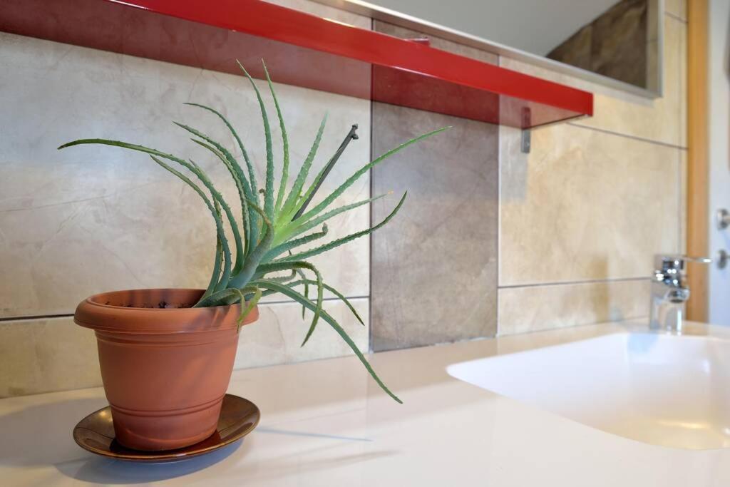 Two-Bedroom Apartment - Photo 16