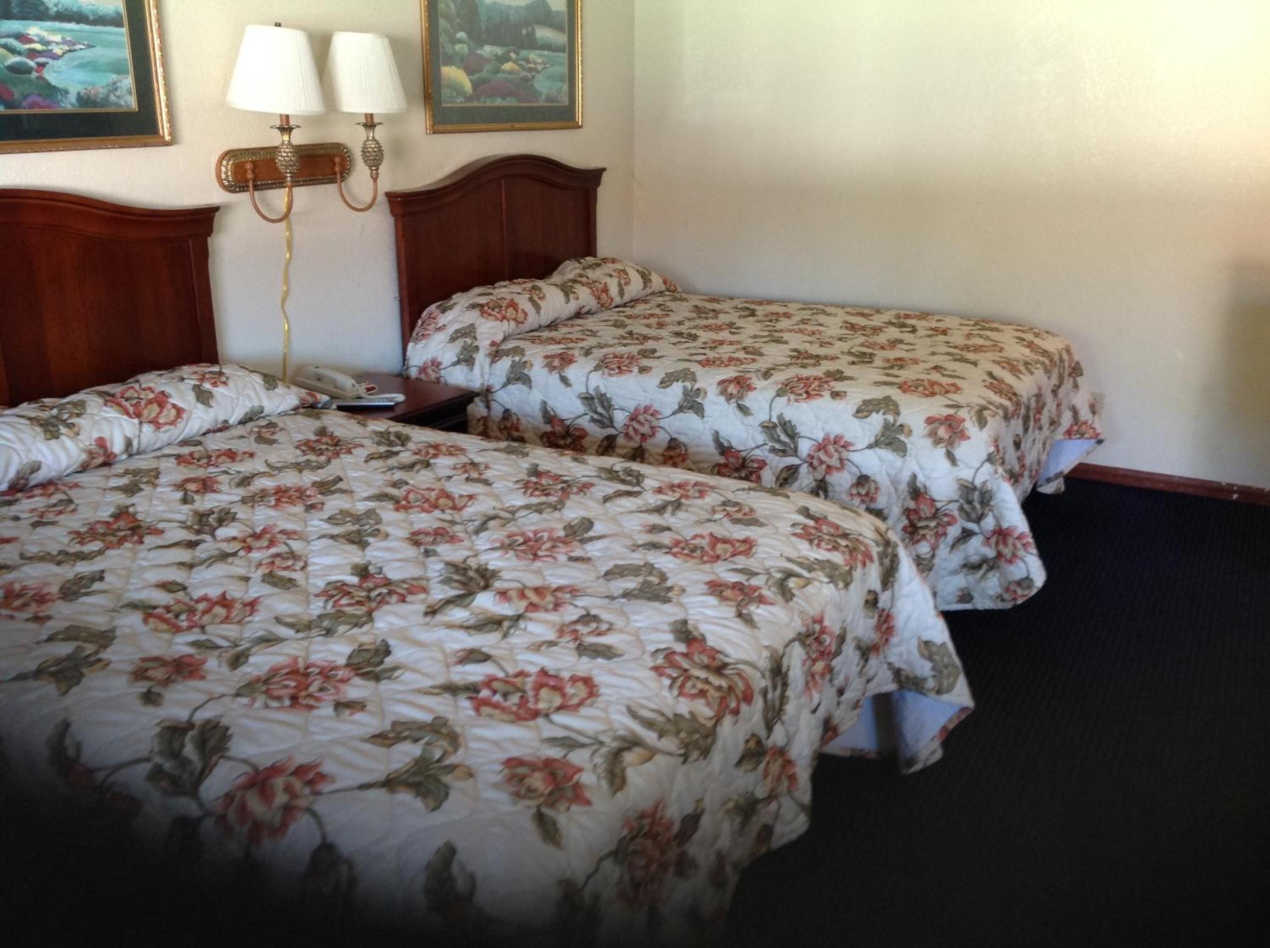 Standard Double Room photo 3
