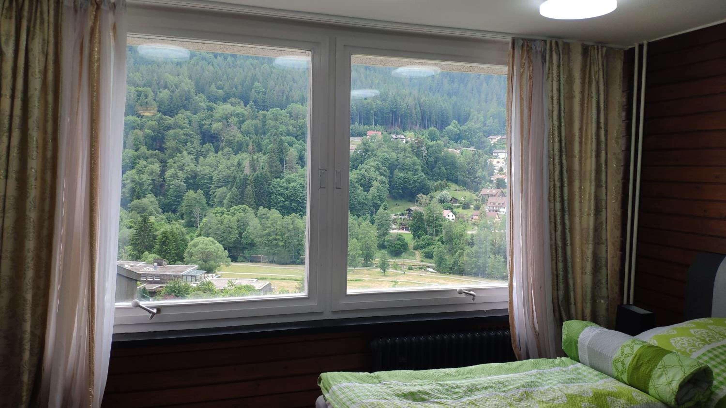 Studio with Mountain View - Photo 9