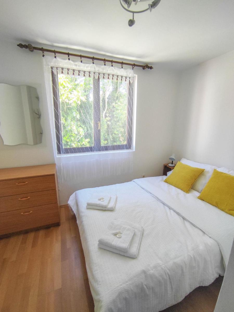 Apartment with Terrace photo 1