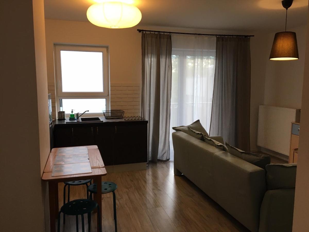 One-Bedroom Apartment - Photo 4