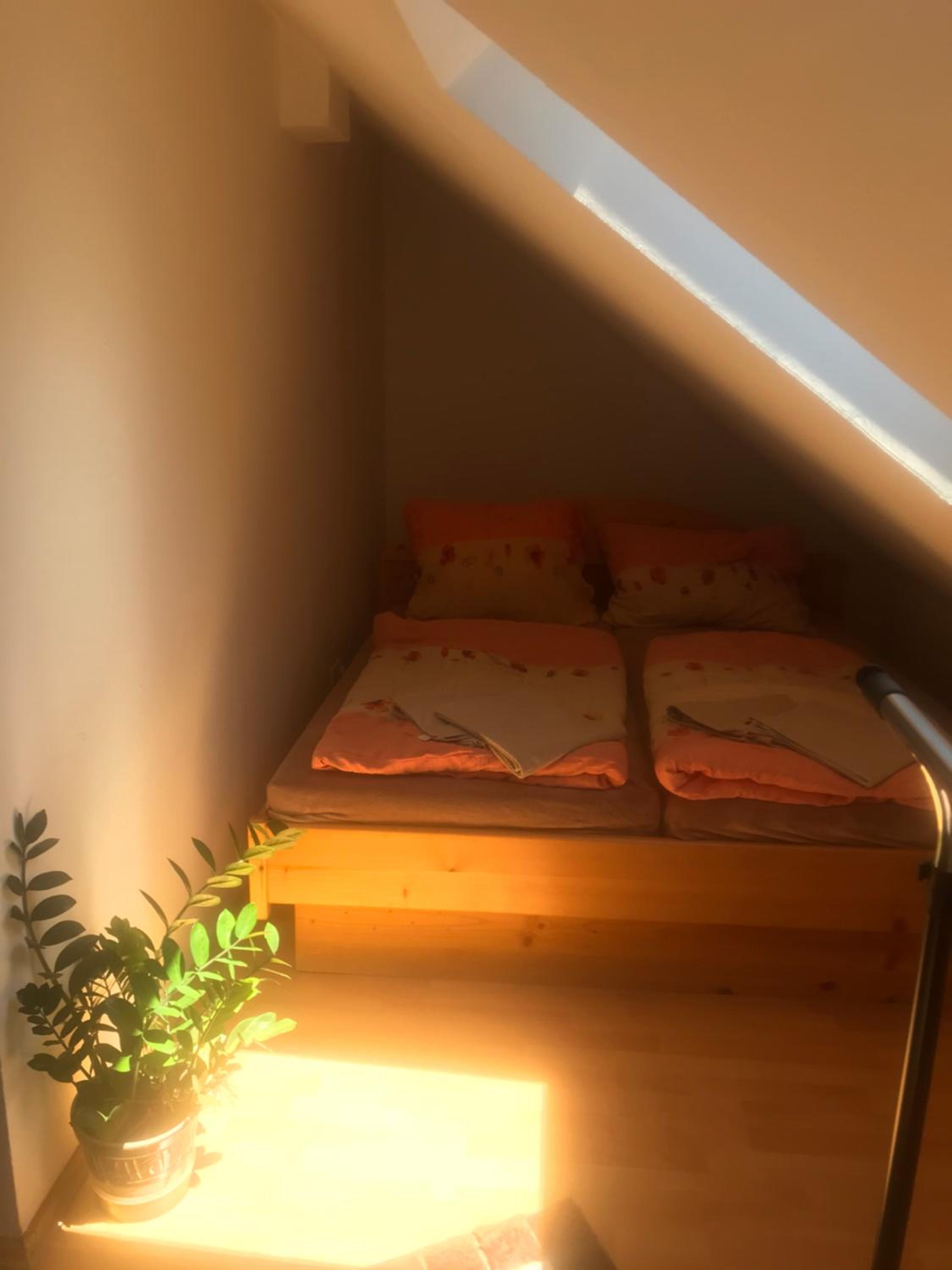 Apartment - Photo 3