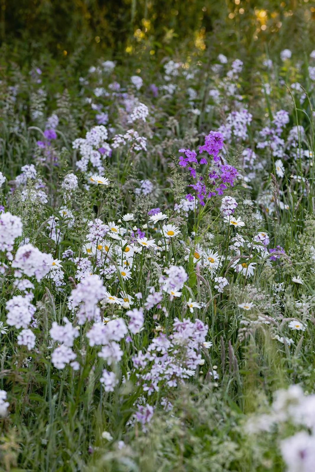 Lodge with Nordic Spa - Photo 12