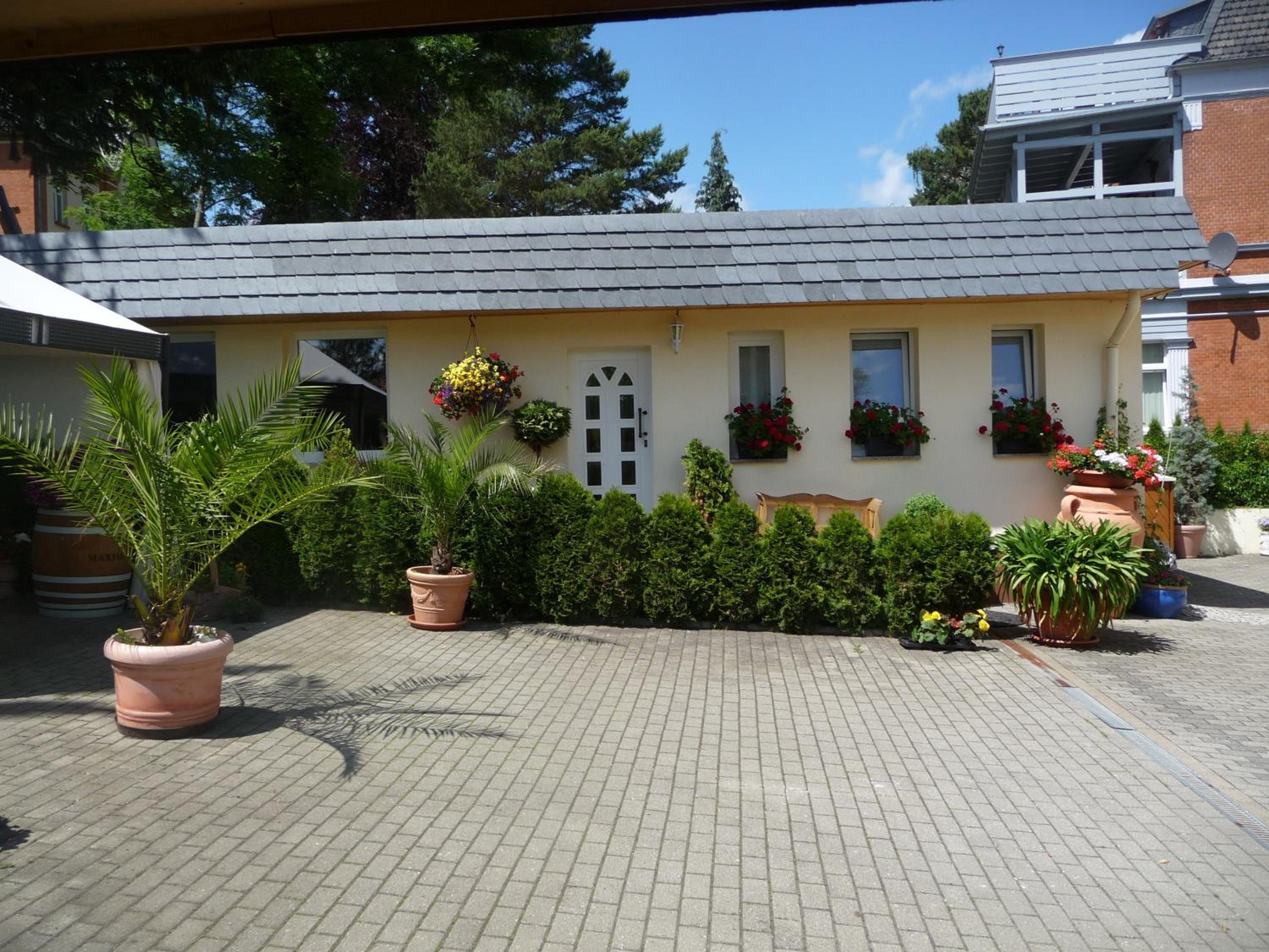 Apartment with Terrace photo 2