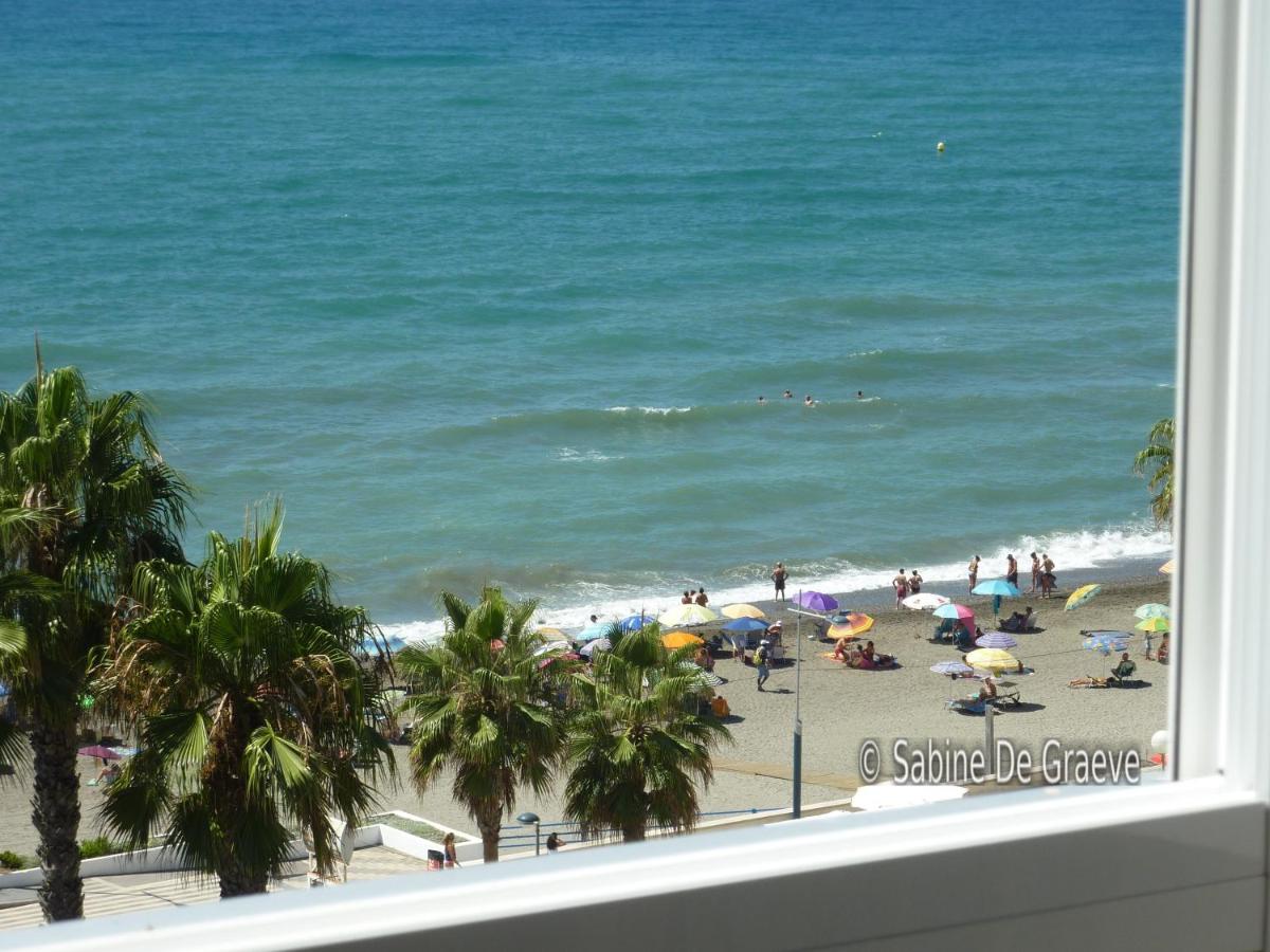 Superior Apartment photo 2