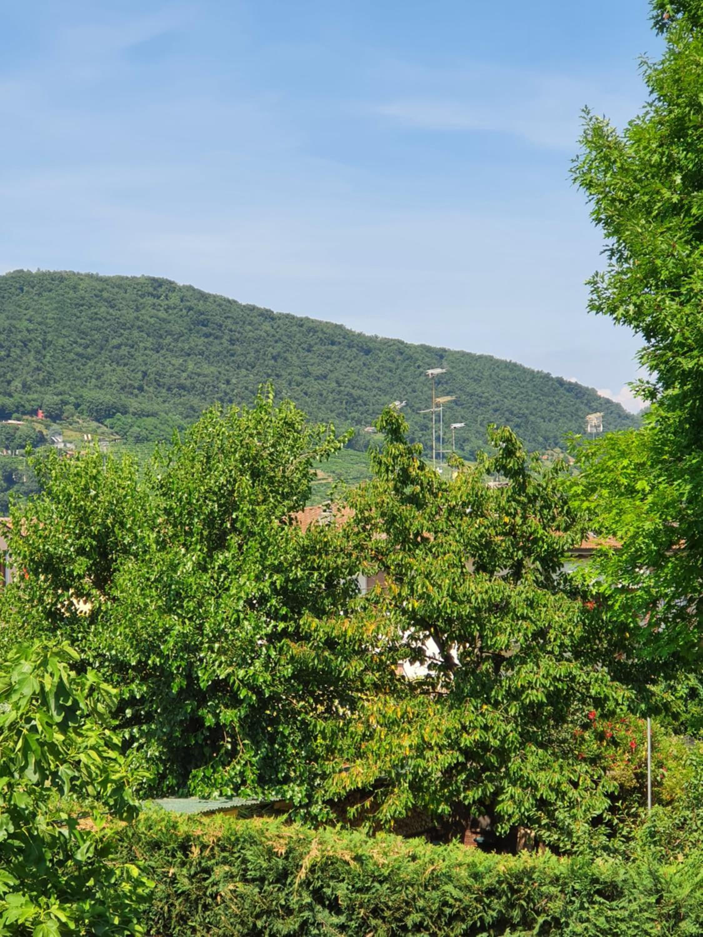 Vacation Home - Photo 34