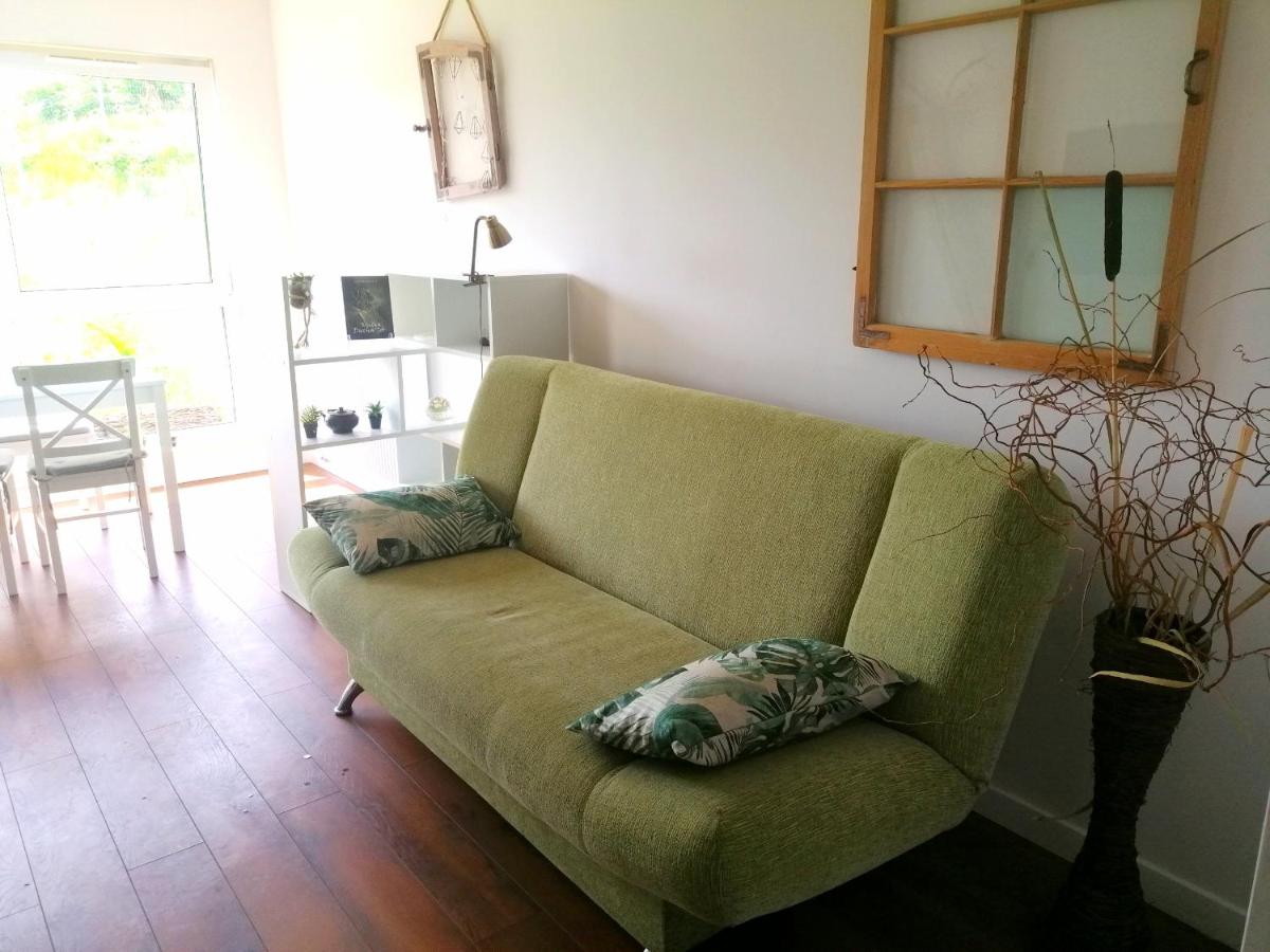 One-Bedroom Apartment - Photo 6