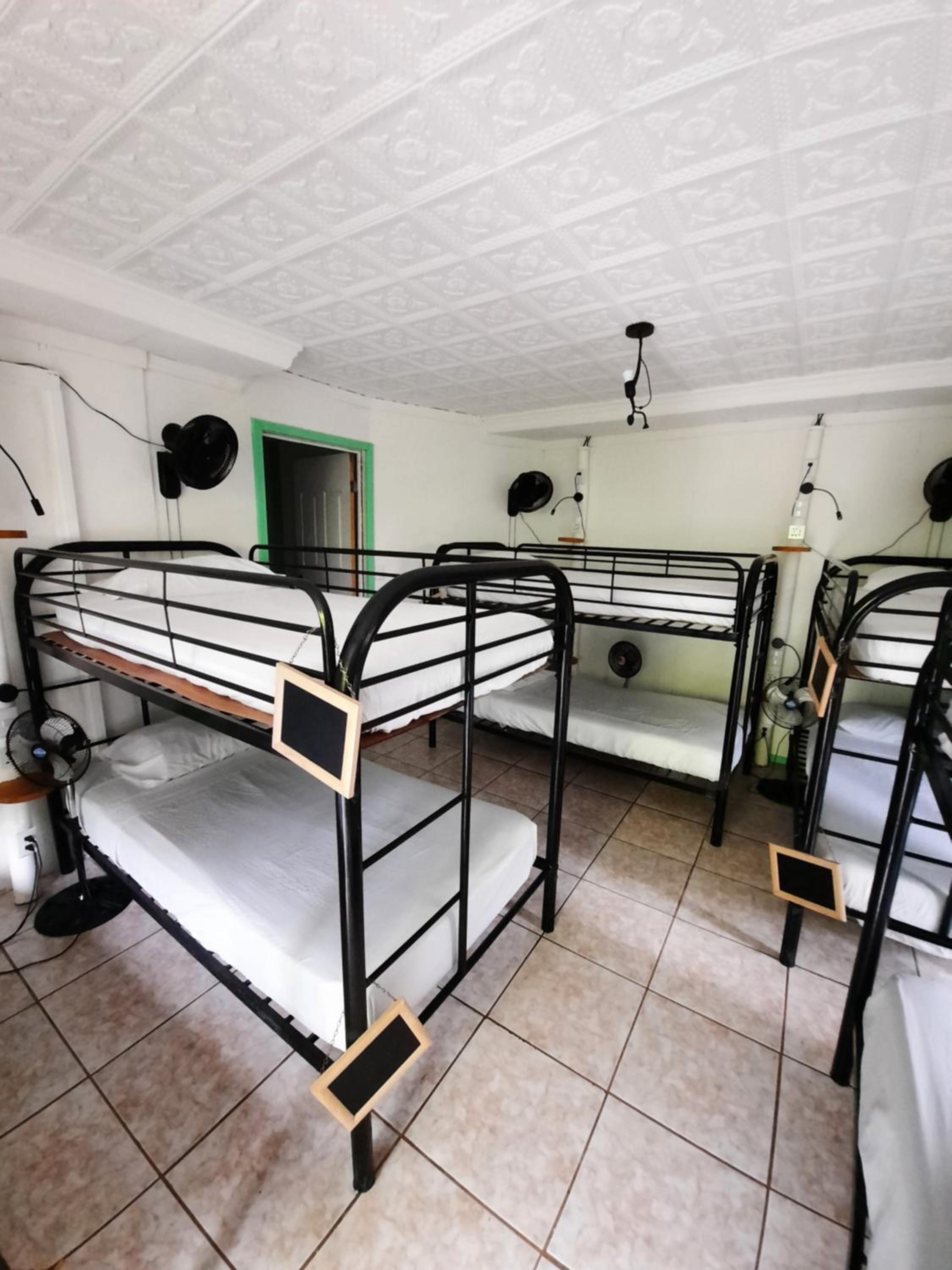 Lit dans Dortoir Mixte de 10 Lits