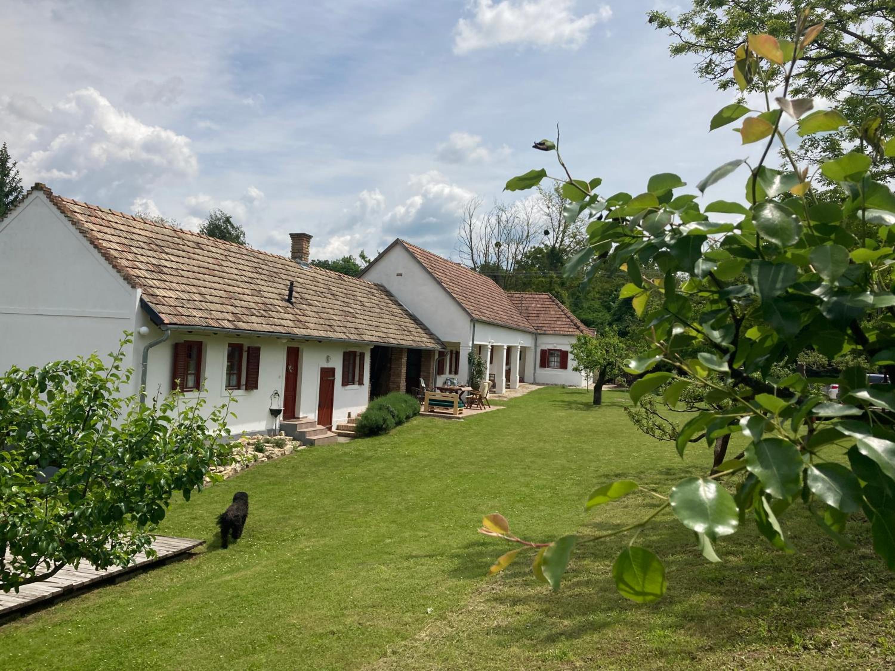 Guest House photo 1