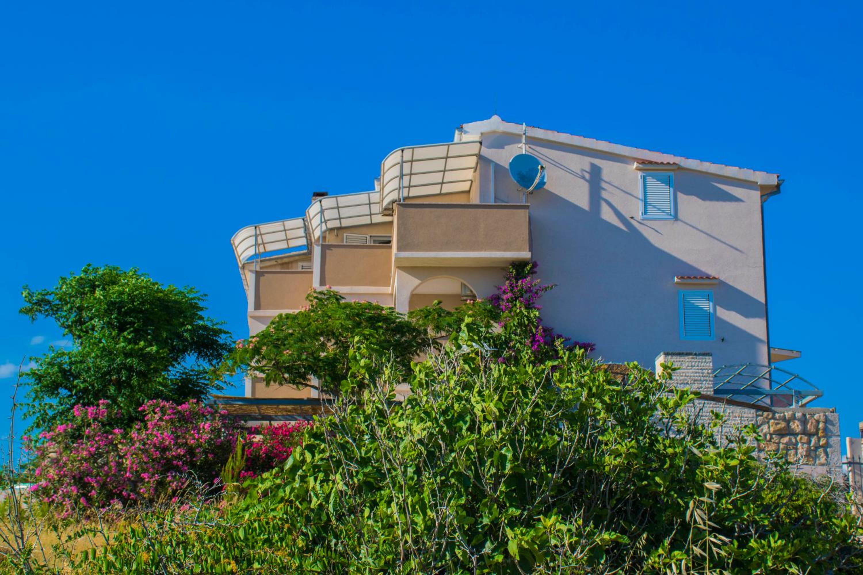 Apartment with Sea View photo 3