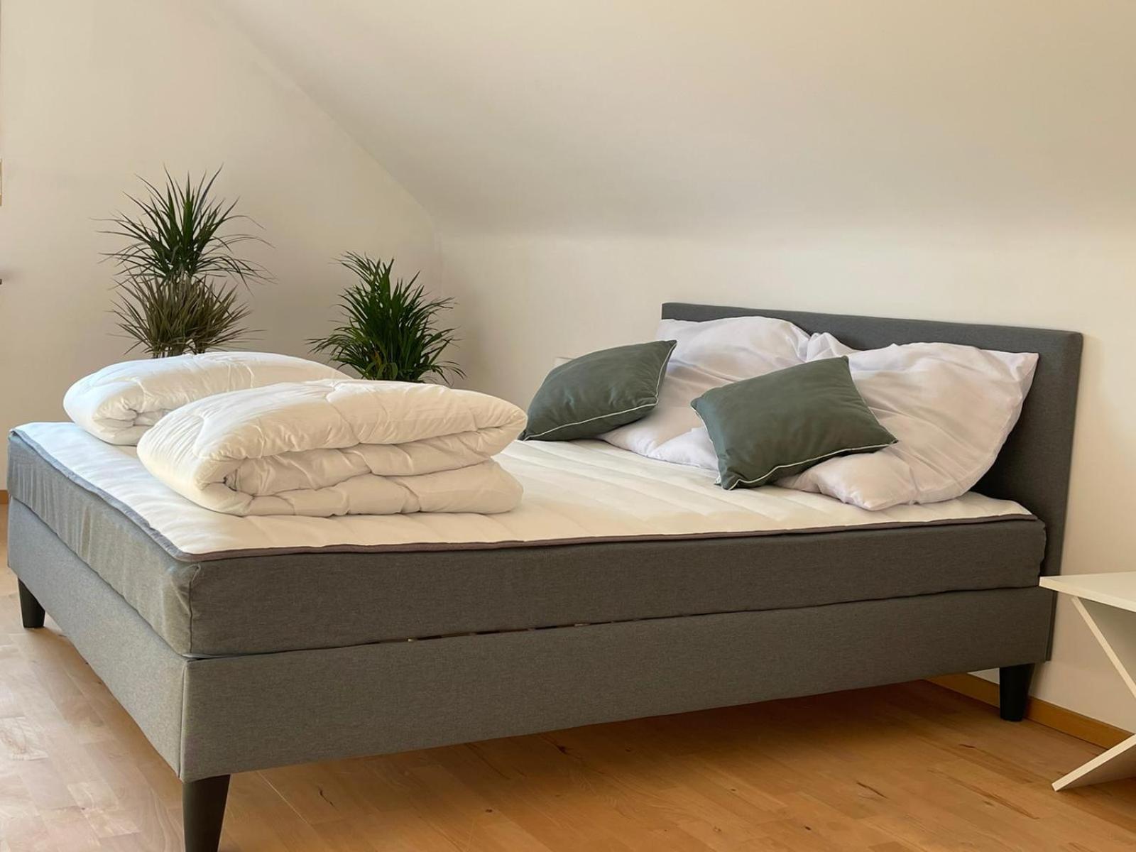 Two-Bedroom Apartment - Photo 9