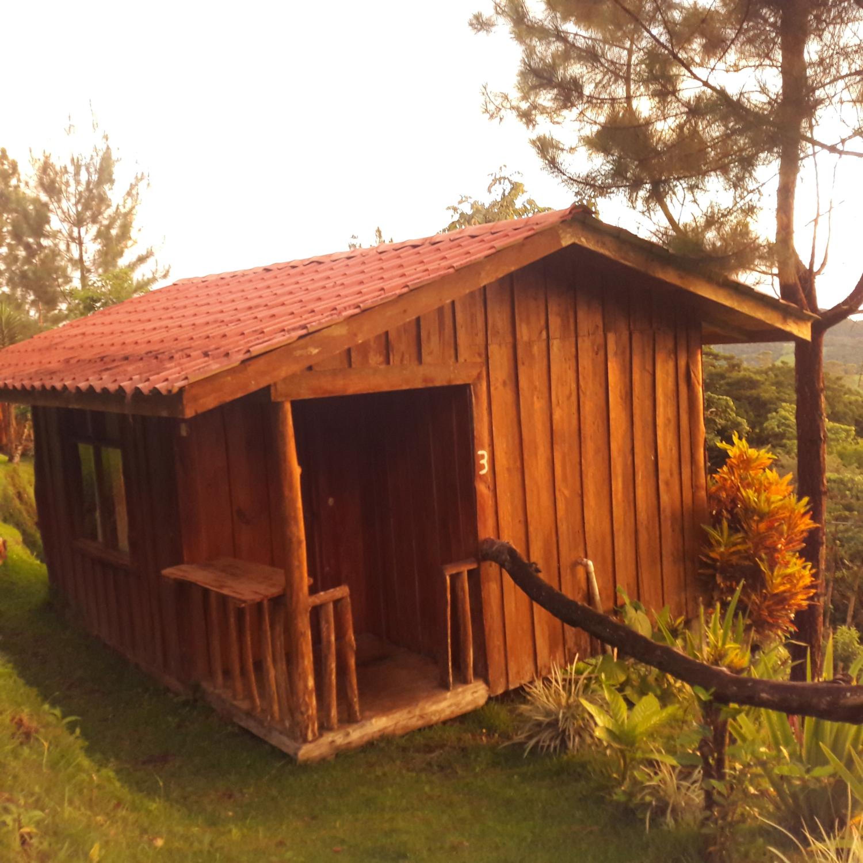 Bungalow photo 3
