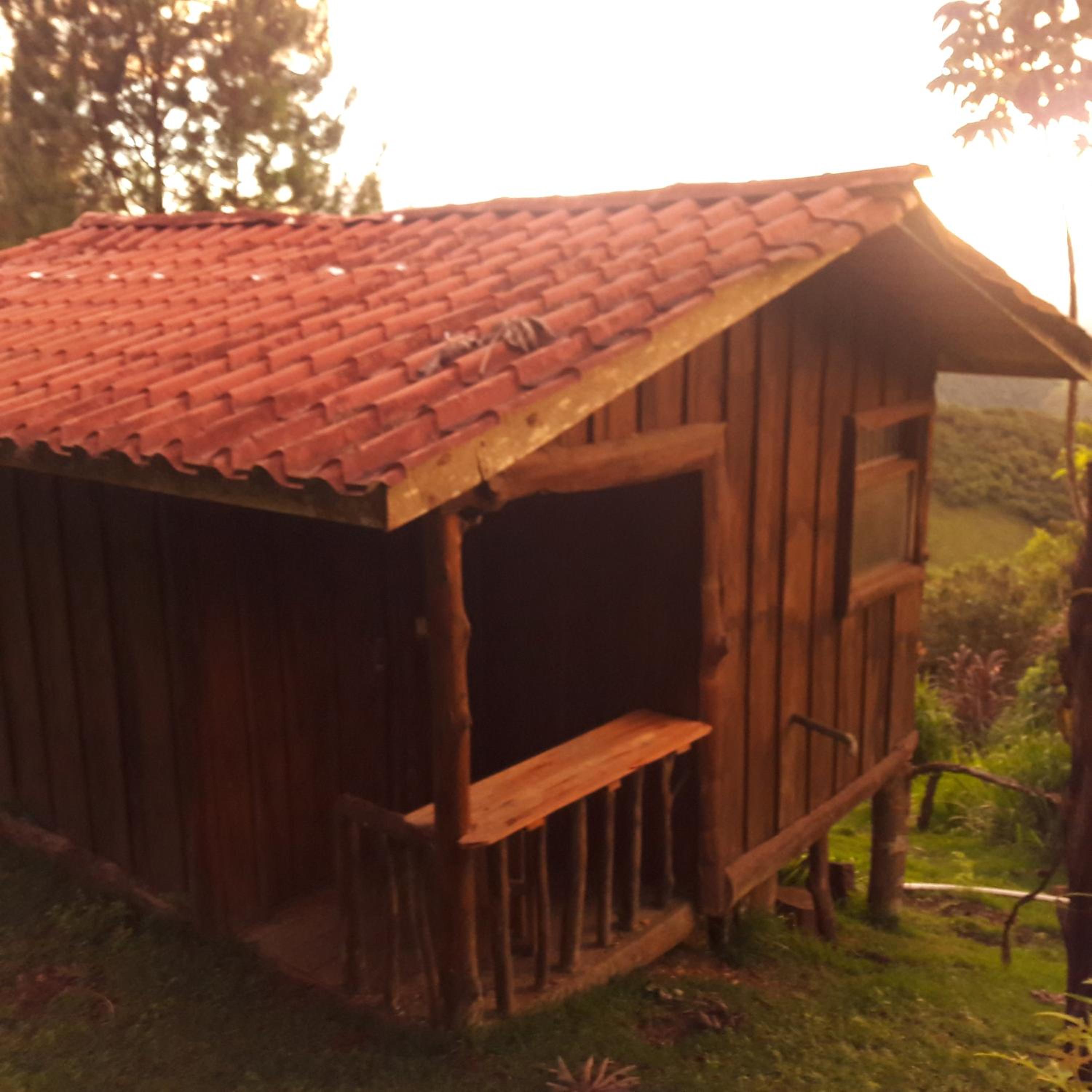 Deluxe Bungalow photo 3
