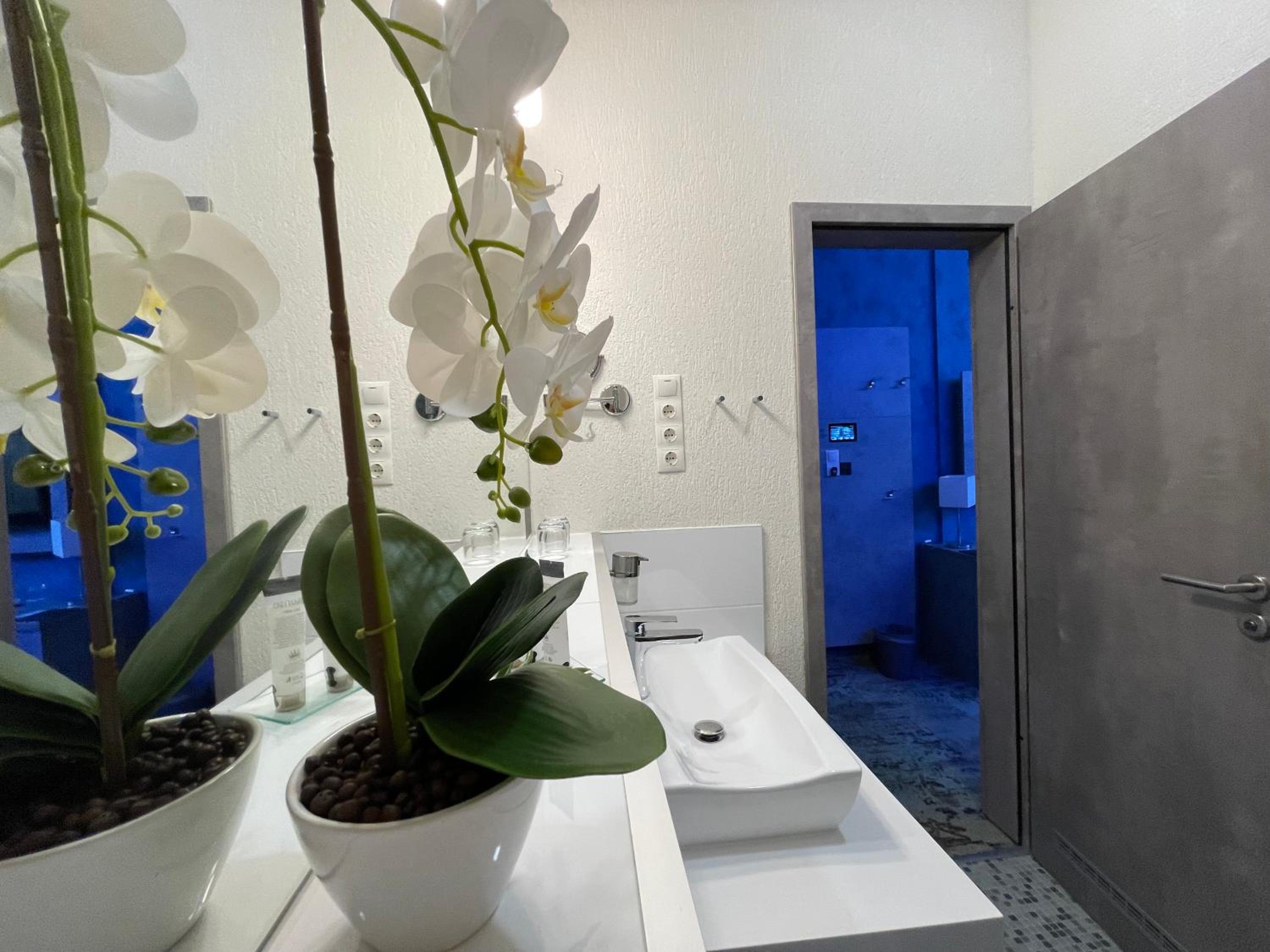 Quadruple Room - Photo 9