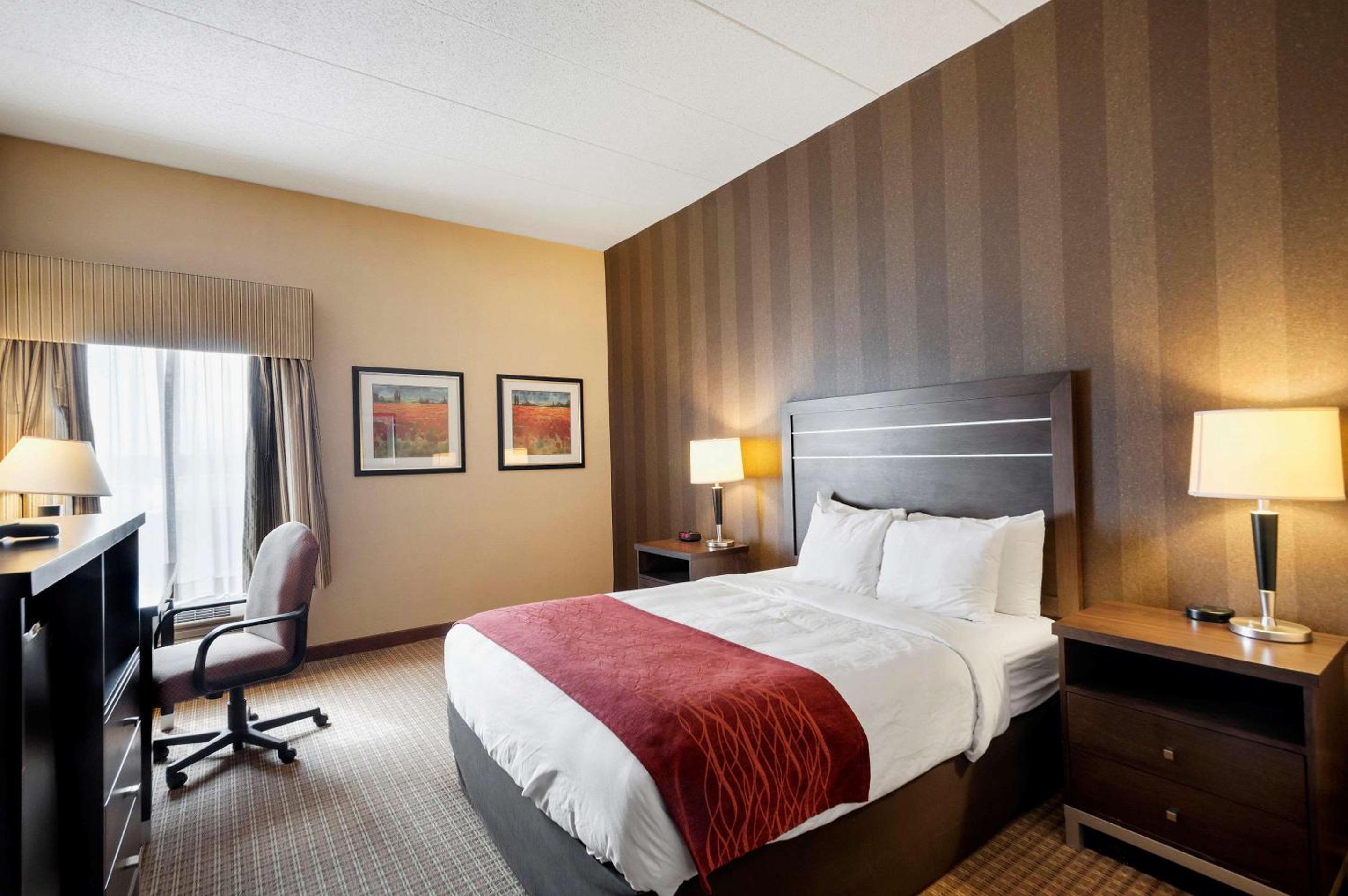 King Suite with Sofa Bed - Non-Smoking - Photo 1