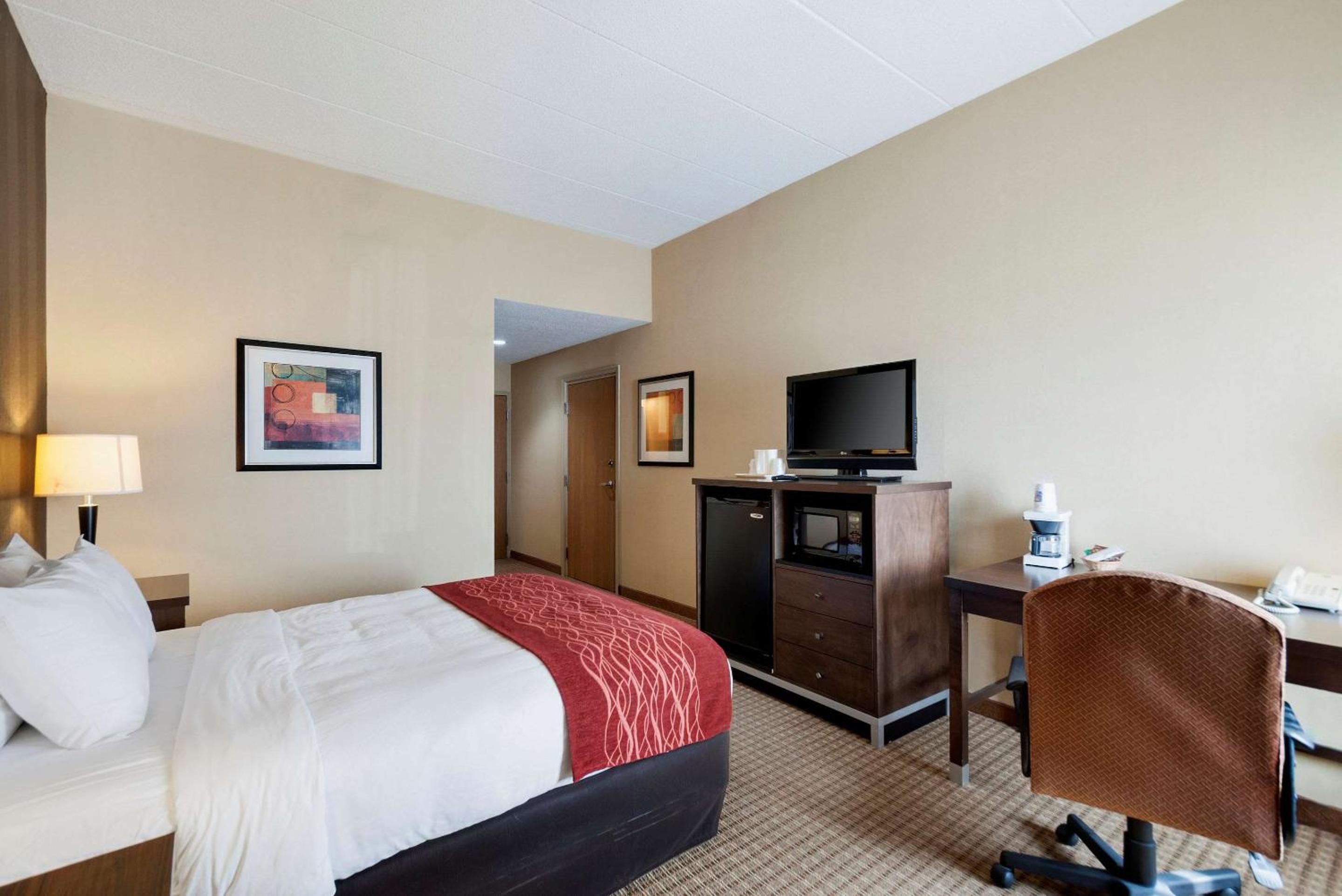 King Suite with Sofa Bed - Non-Smoking - Photo 4