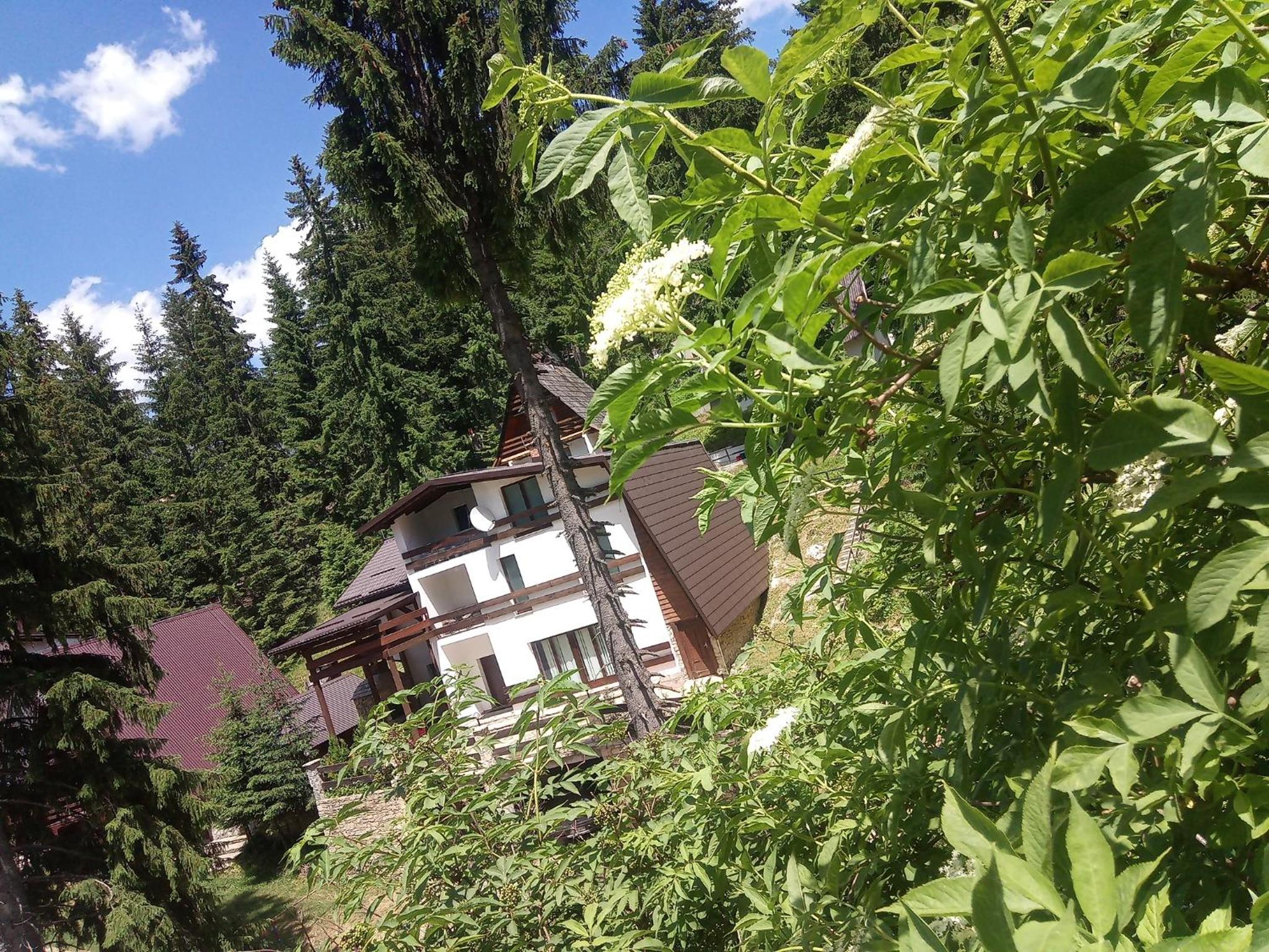 Superior Villa photo 2