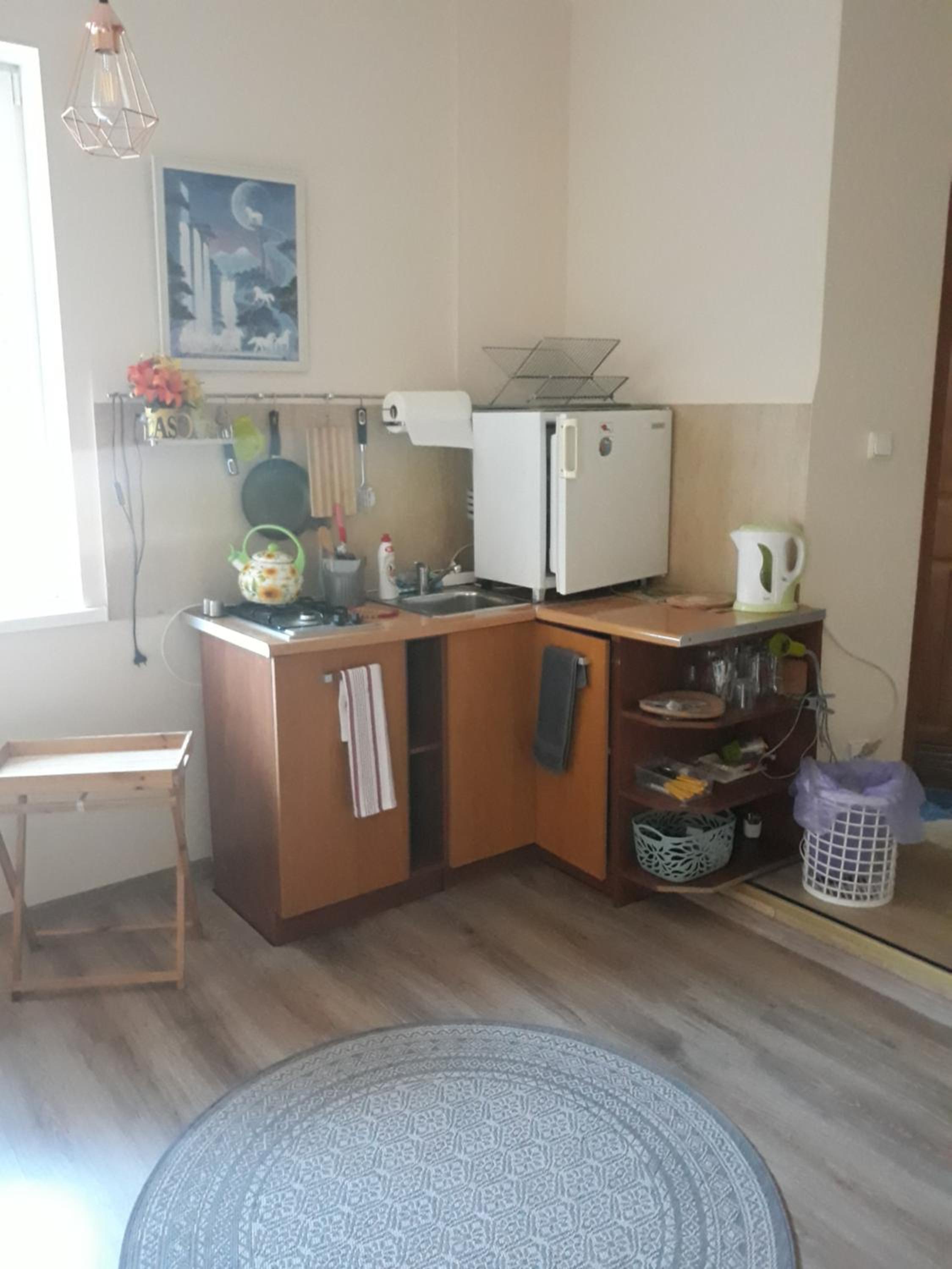 One-Bedroom Apartment - Photo 4