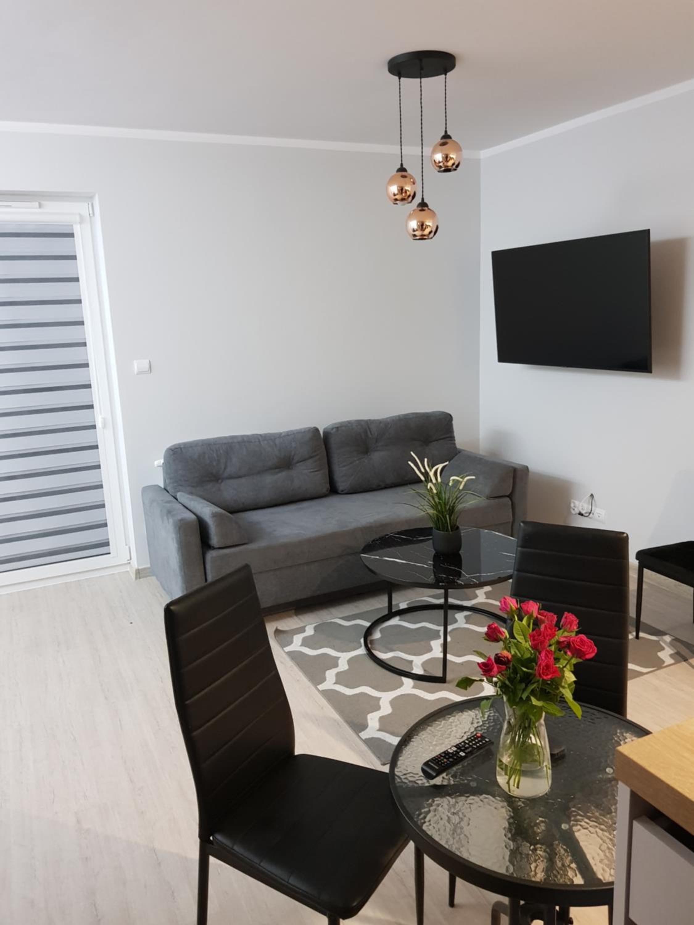 Studio with Terrace