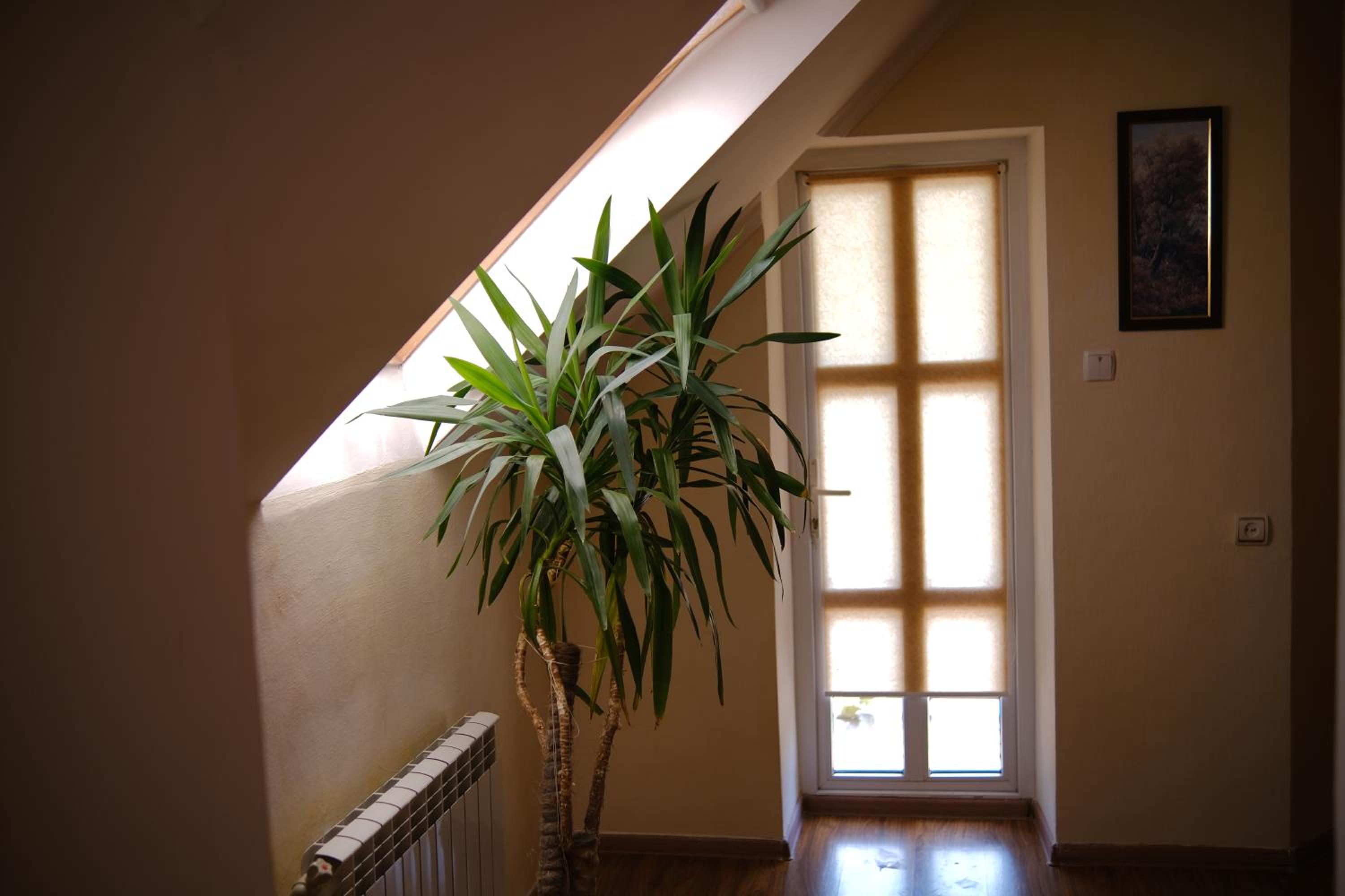 Deluxe Double Room with Balcony photo 2
