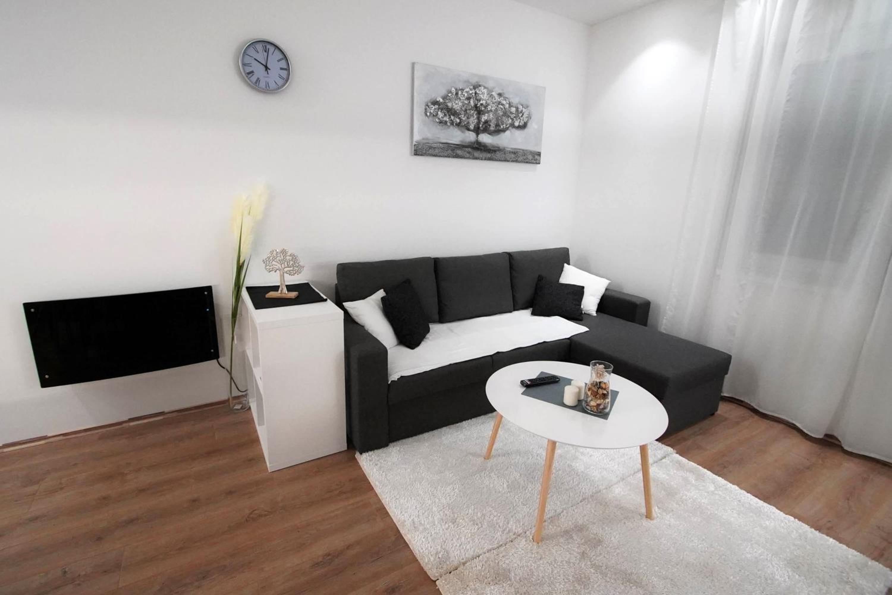 One-Bedroom Apartment photo 3