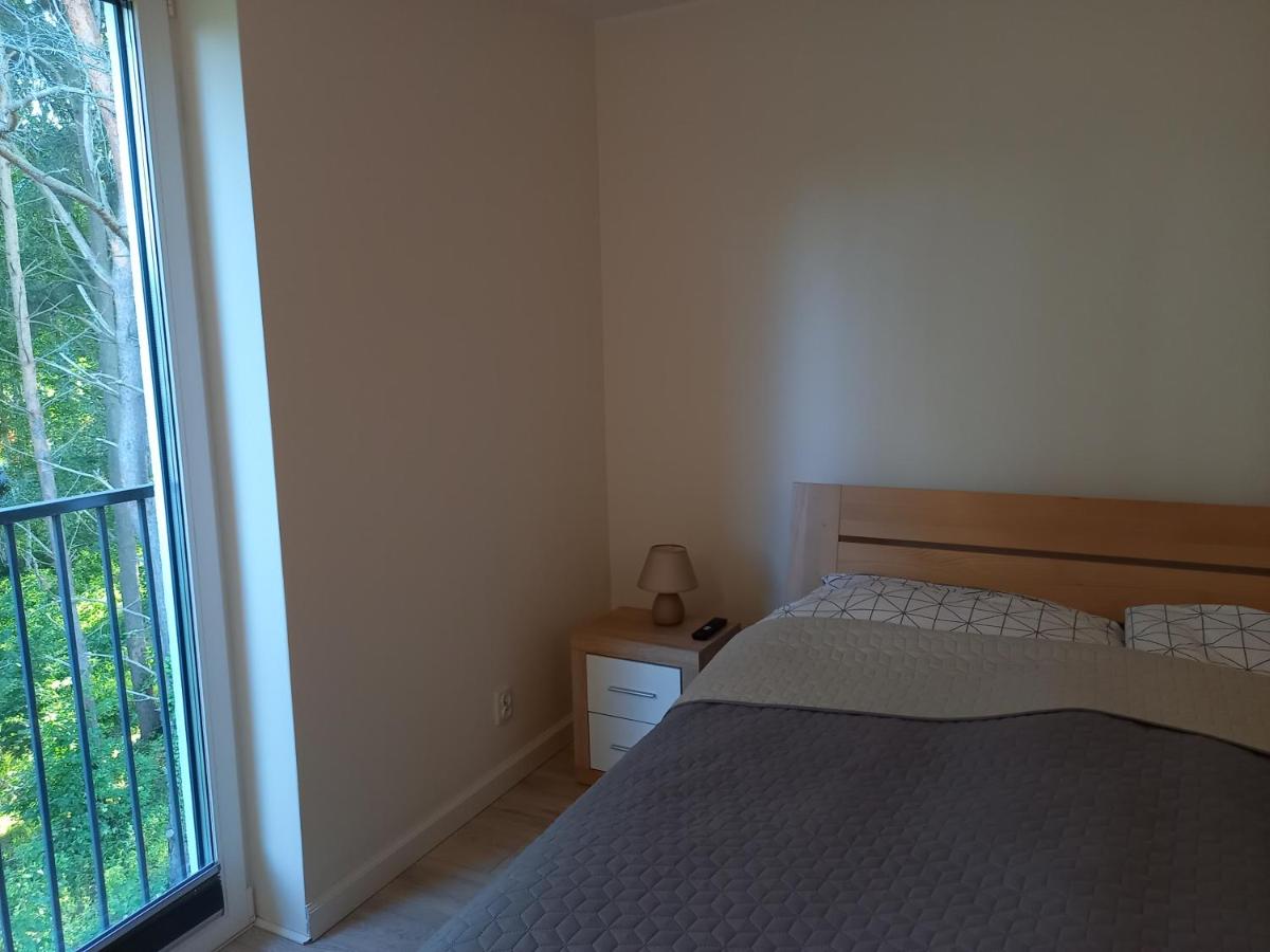 One-Bedroom Apartment - Photo 4
