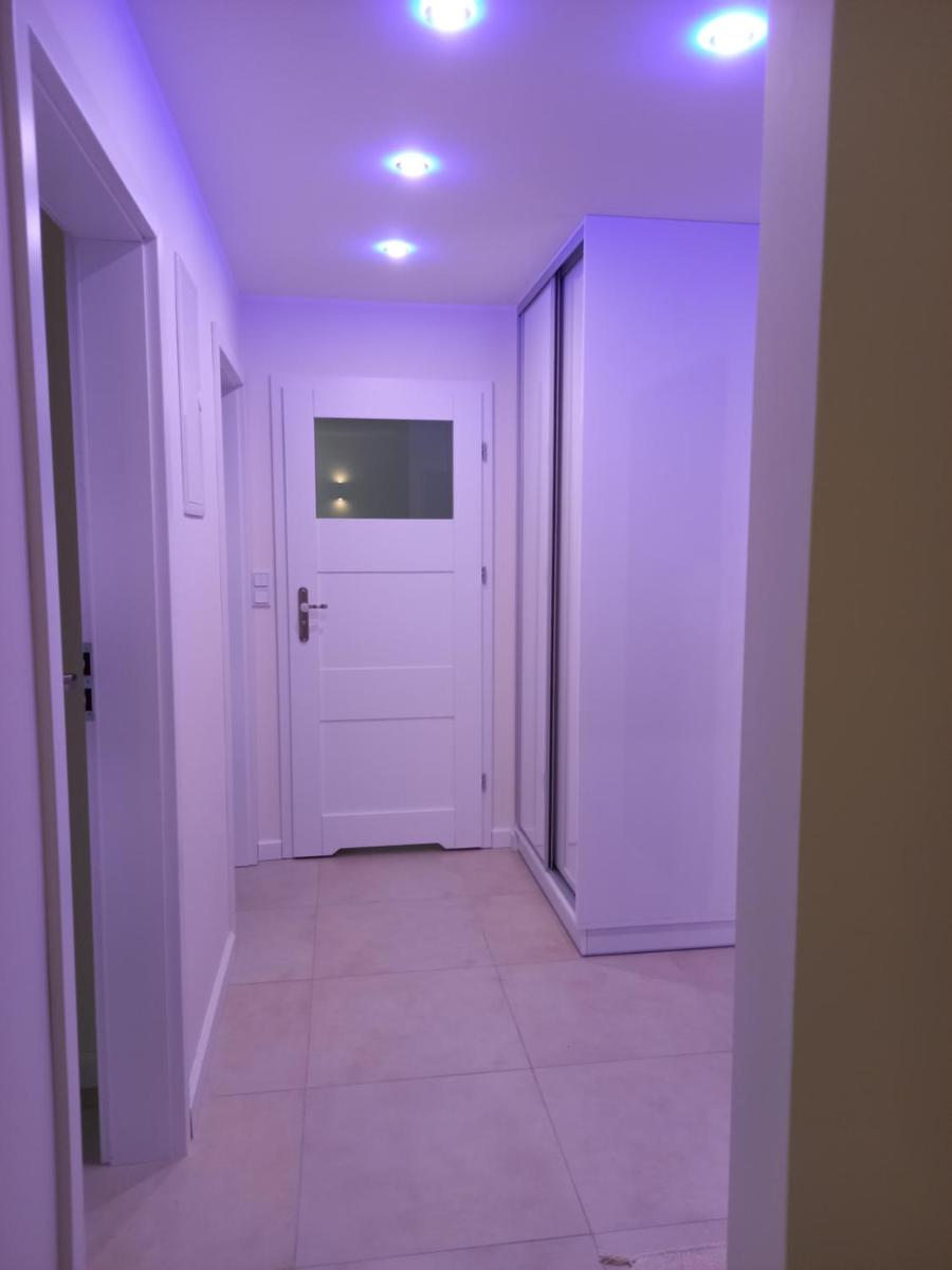 One-Bedroom Apartment - Photo 7