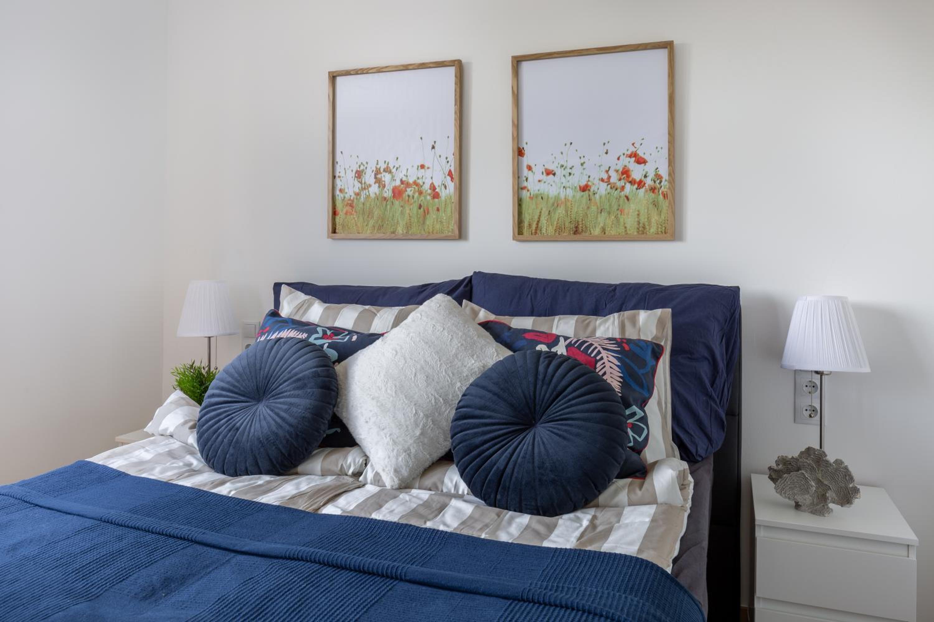 One-Bedroom Apartment photo 2