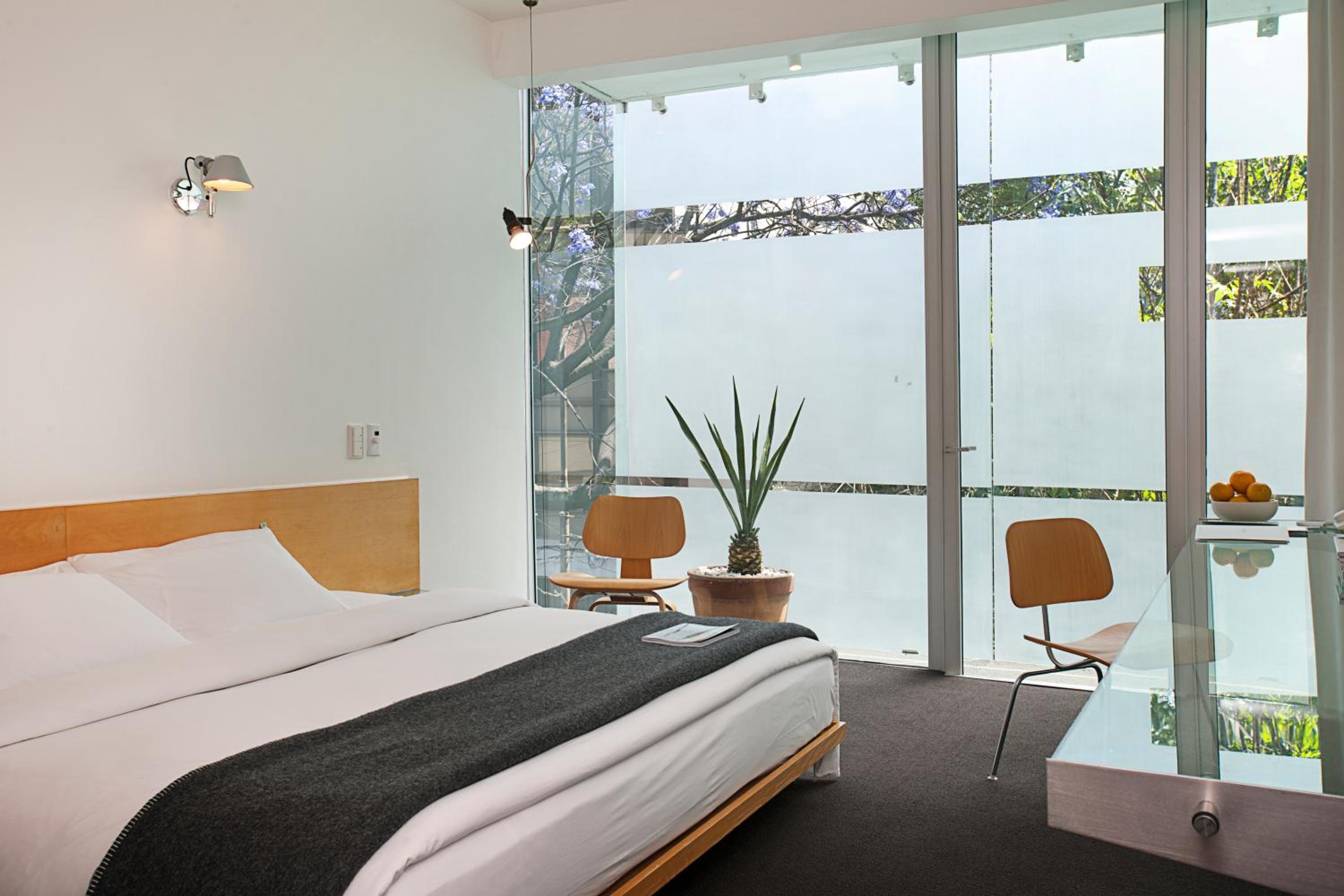 Deluxe King Room photo 1