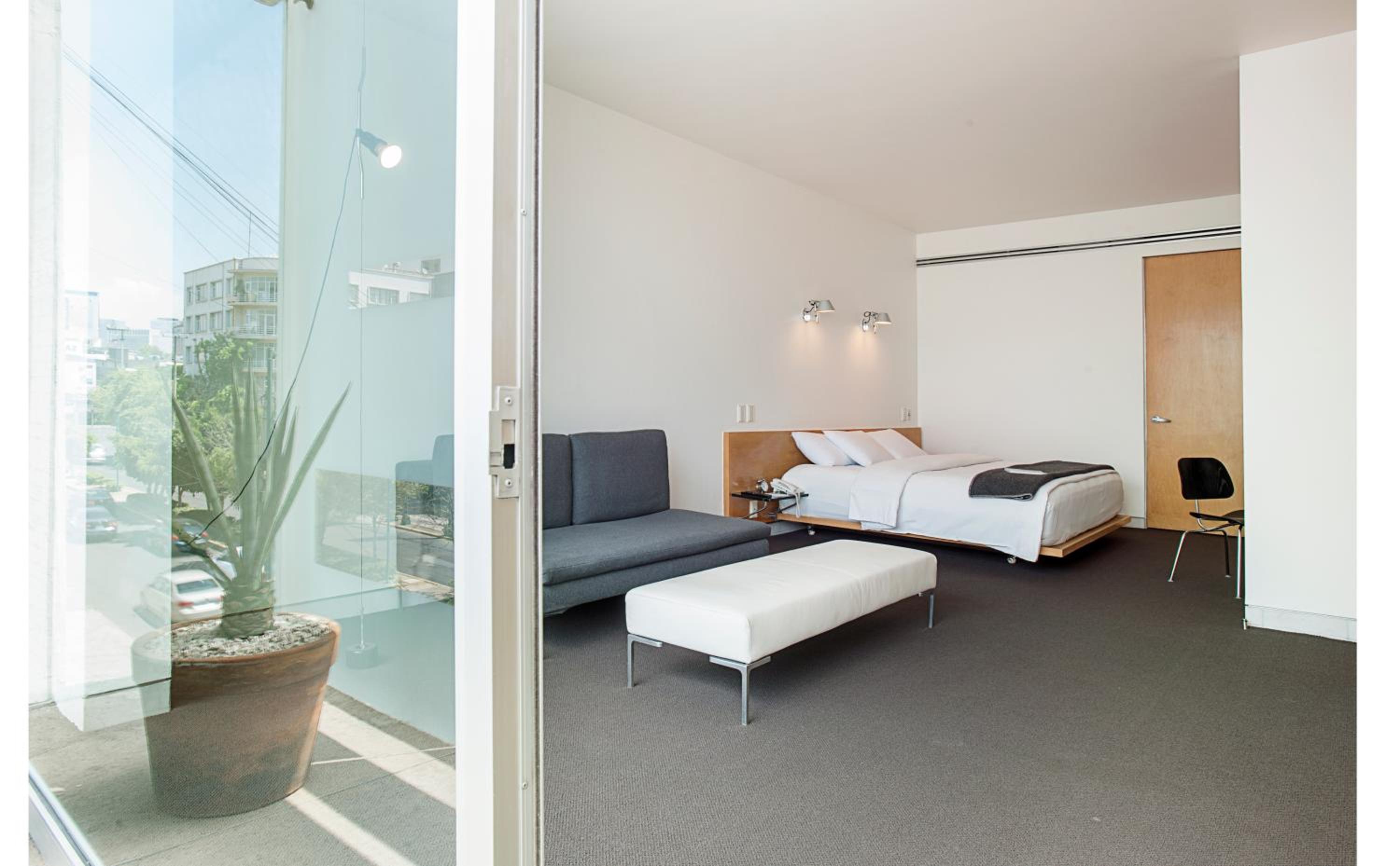 Junior Suite photo 1