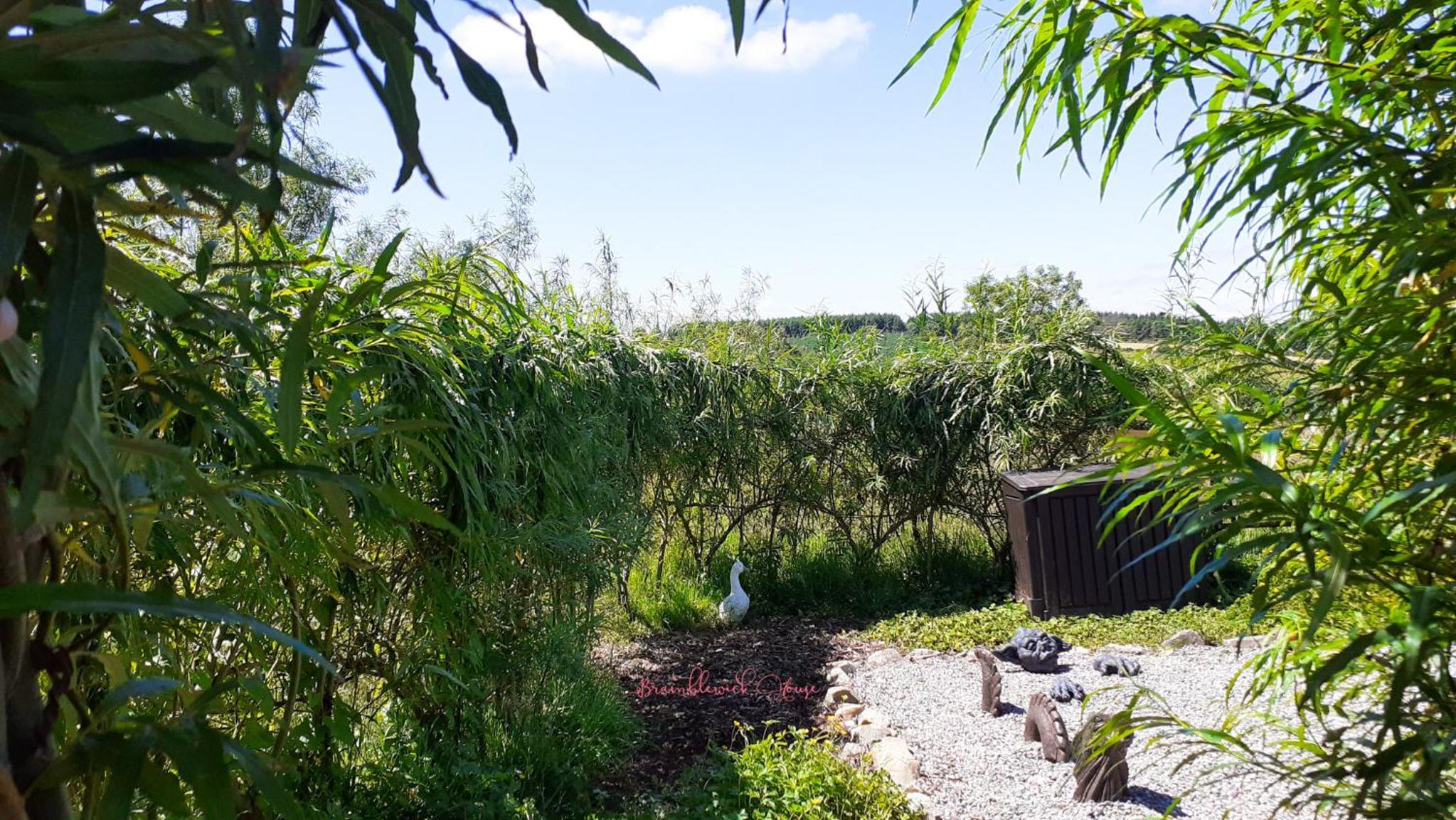 Chalet - Photo 17