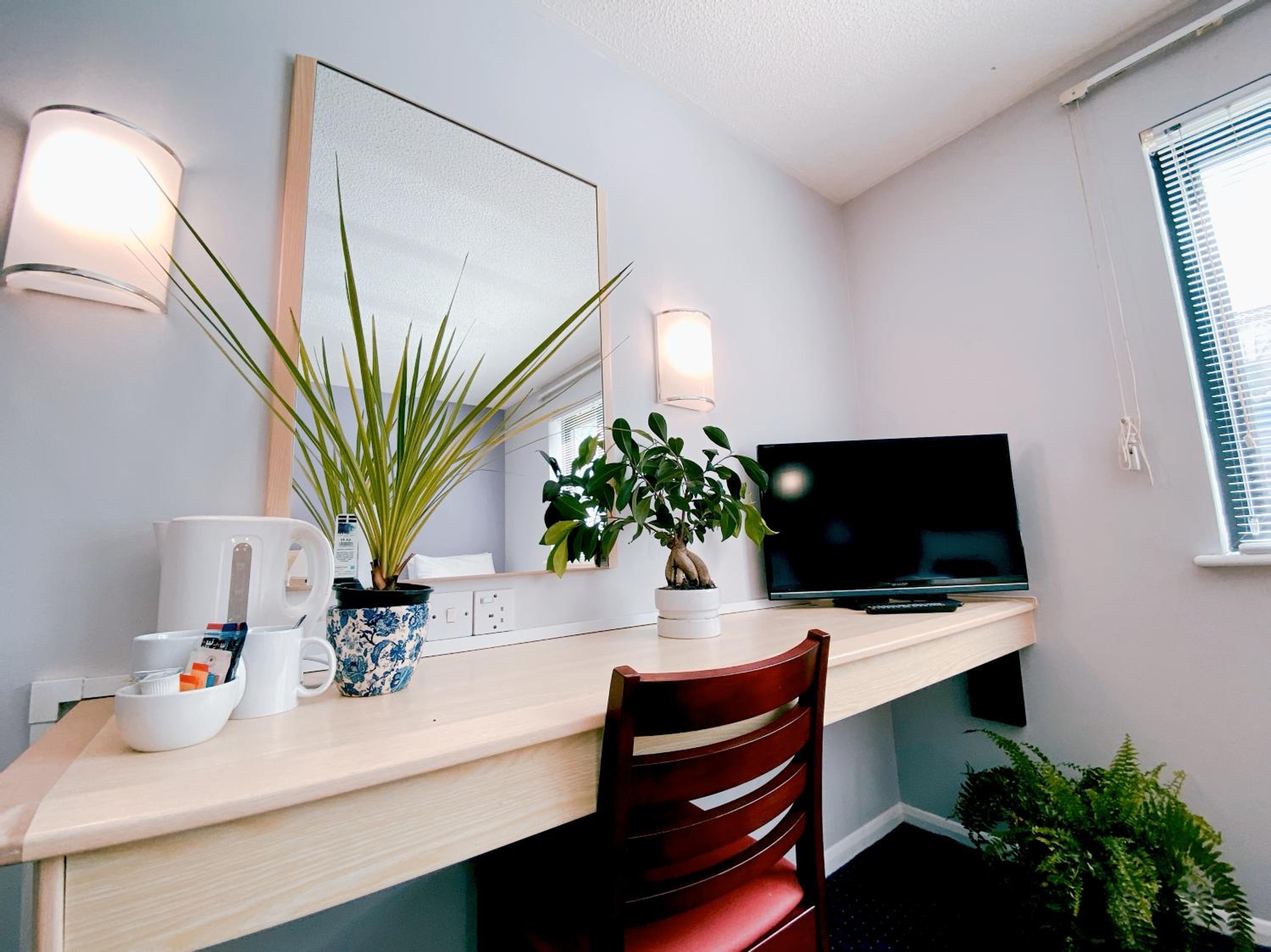 Family Room - Disability Access photo 3