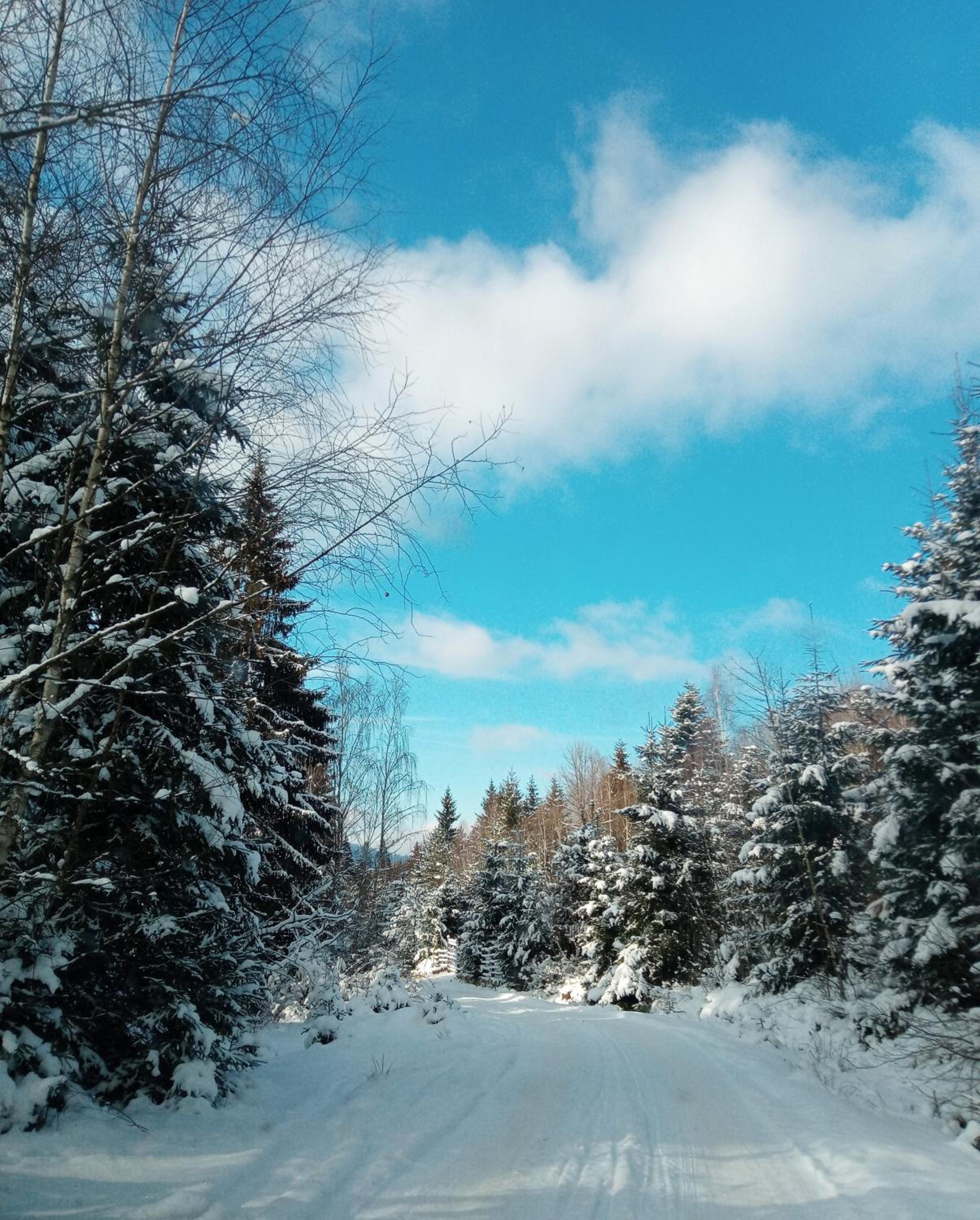 Chalet - Photo 33