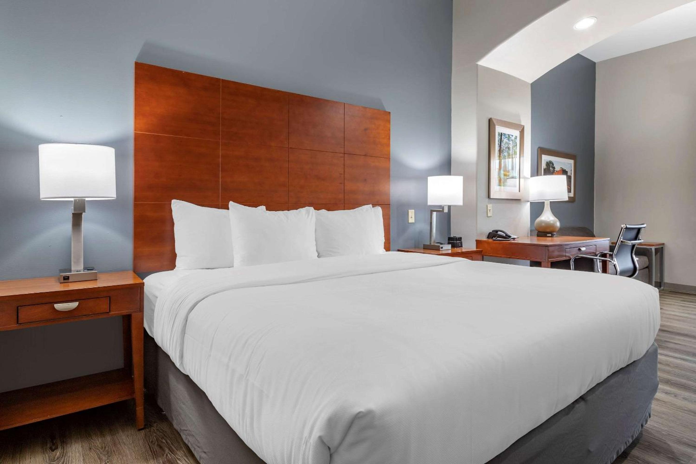 Accessible King Suite with Sofa Bed - Non-Smoking - Photo 2