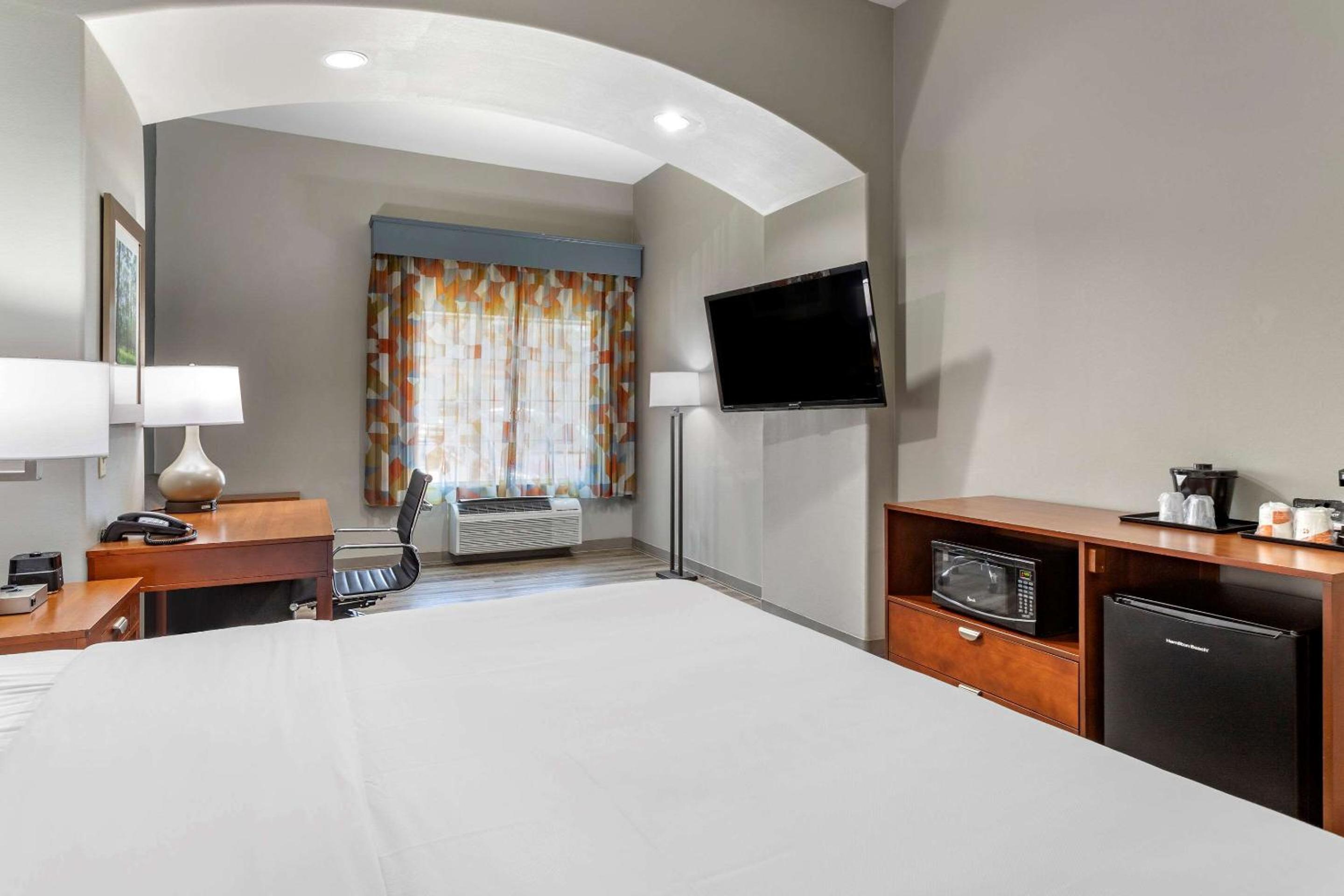 Accessible King Suite with Sofa Bed - Non-Smoking - Photo 3