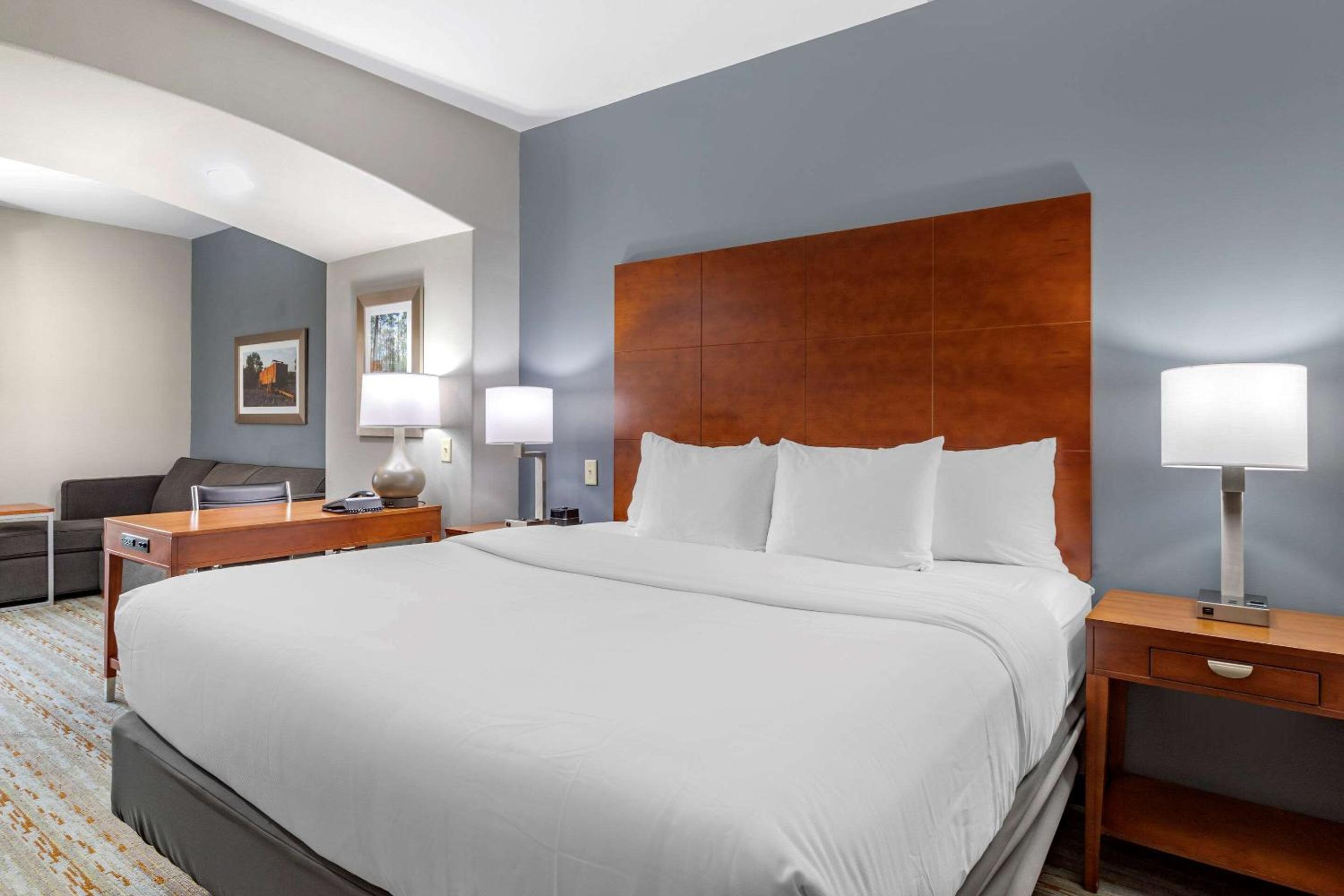 King Suite with Sofa Bed - Non-Smoking - Photo 1