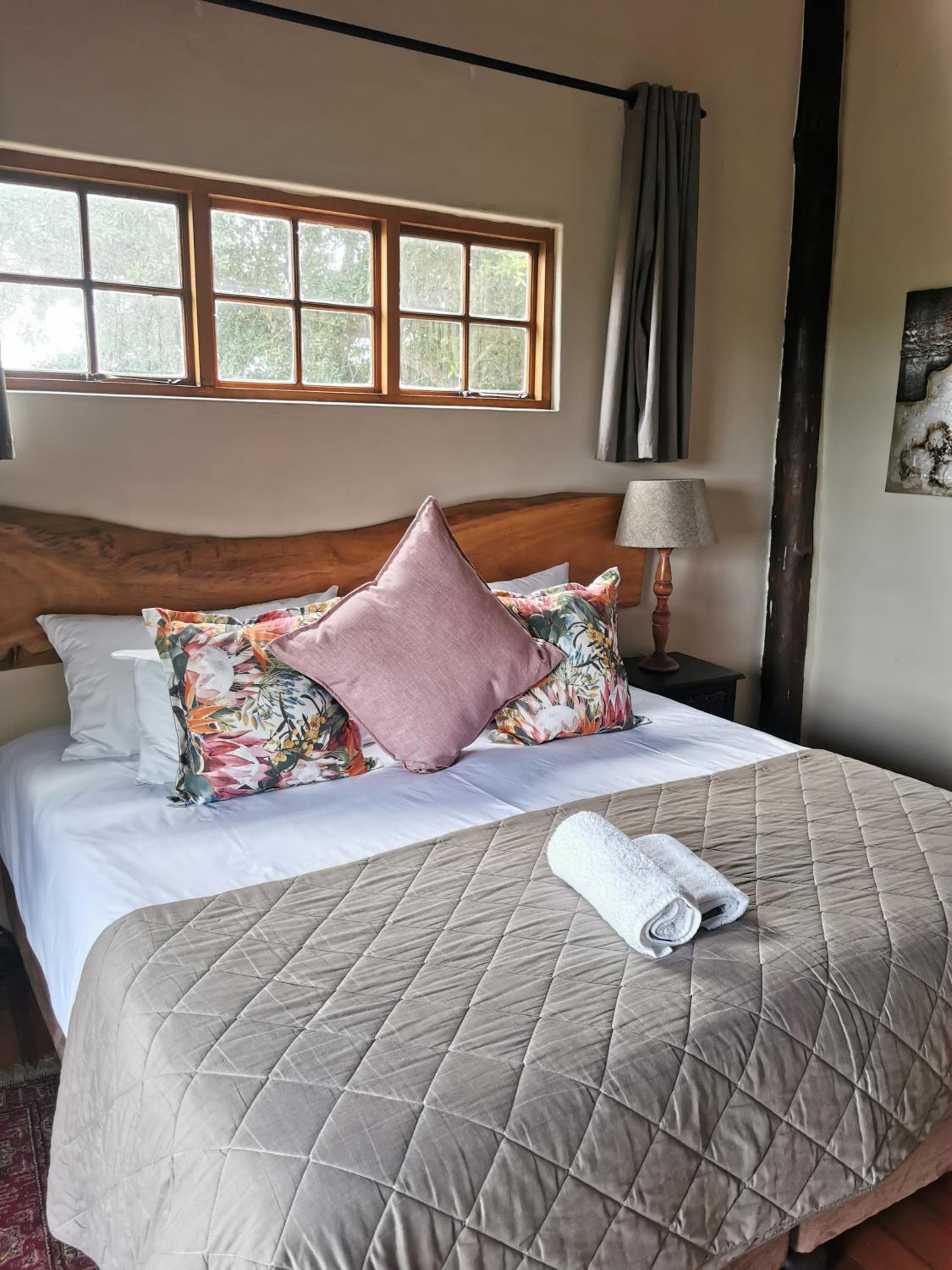Suite - Photo 1