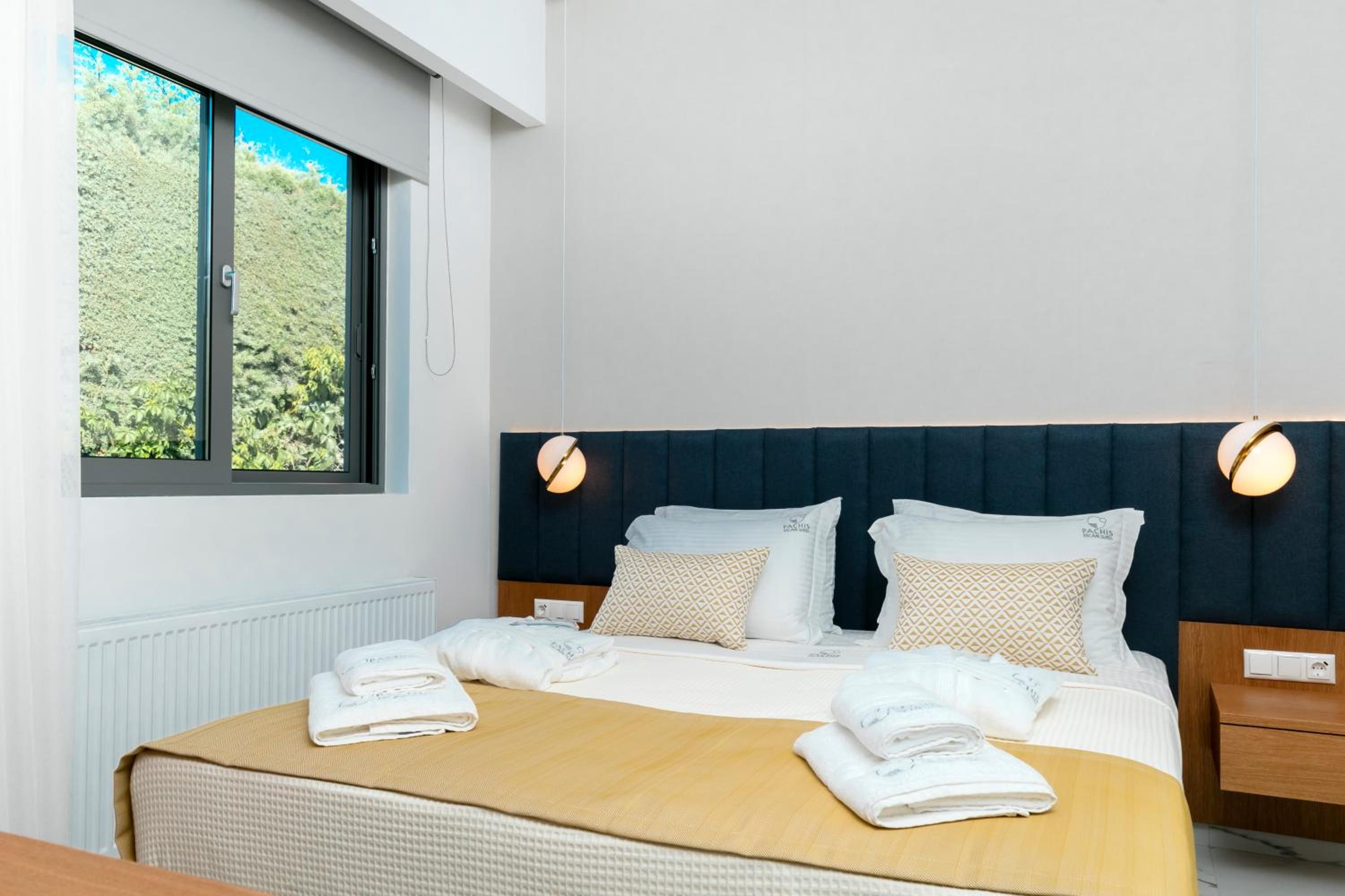 Deluxe Suite photo 1