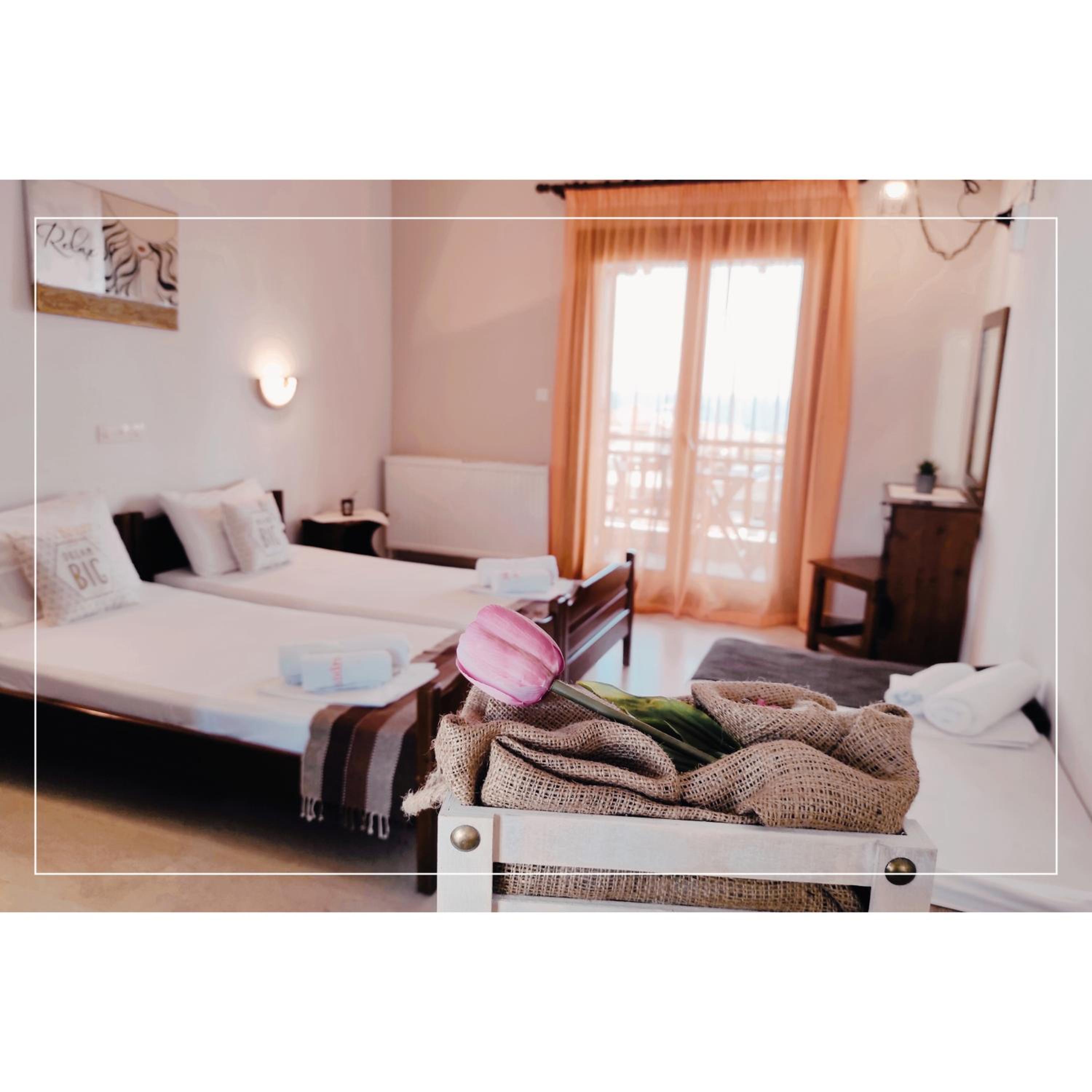 Studio (3 Adults) photo 1