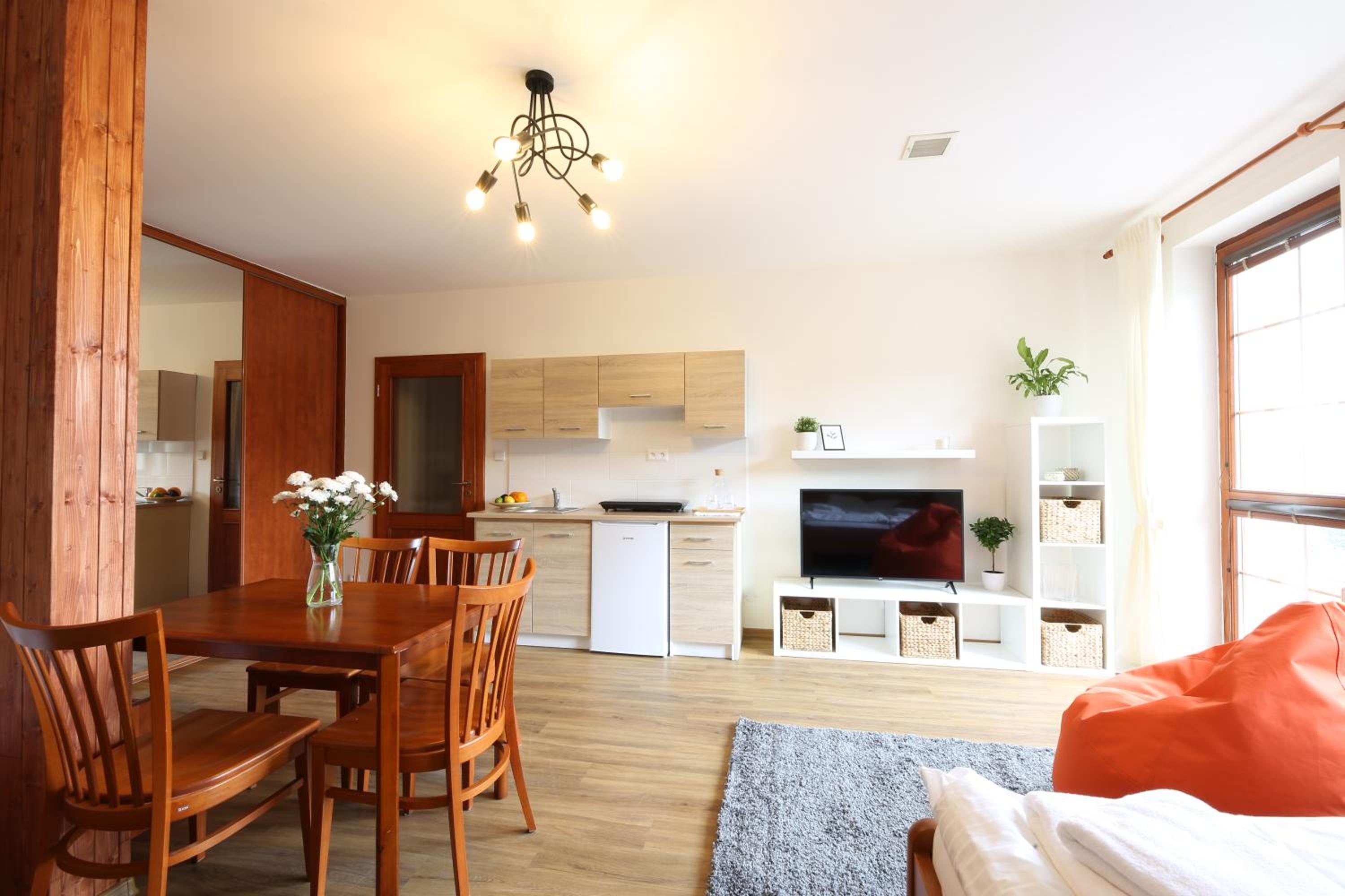 Apartment with Mountain View photo 3
