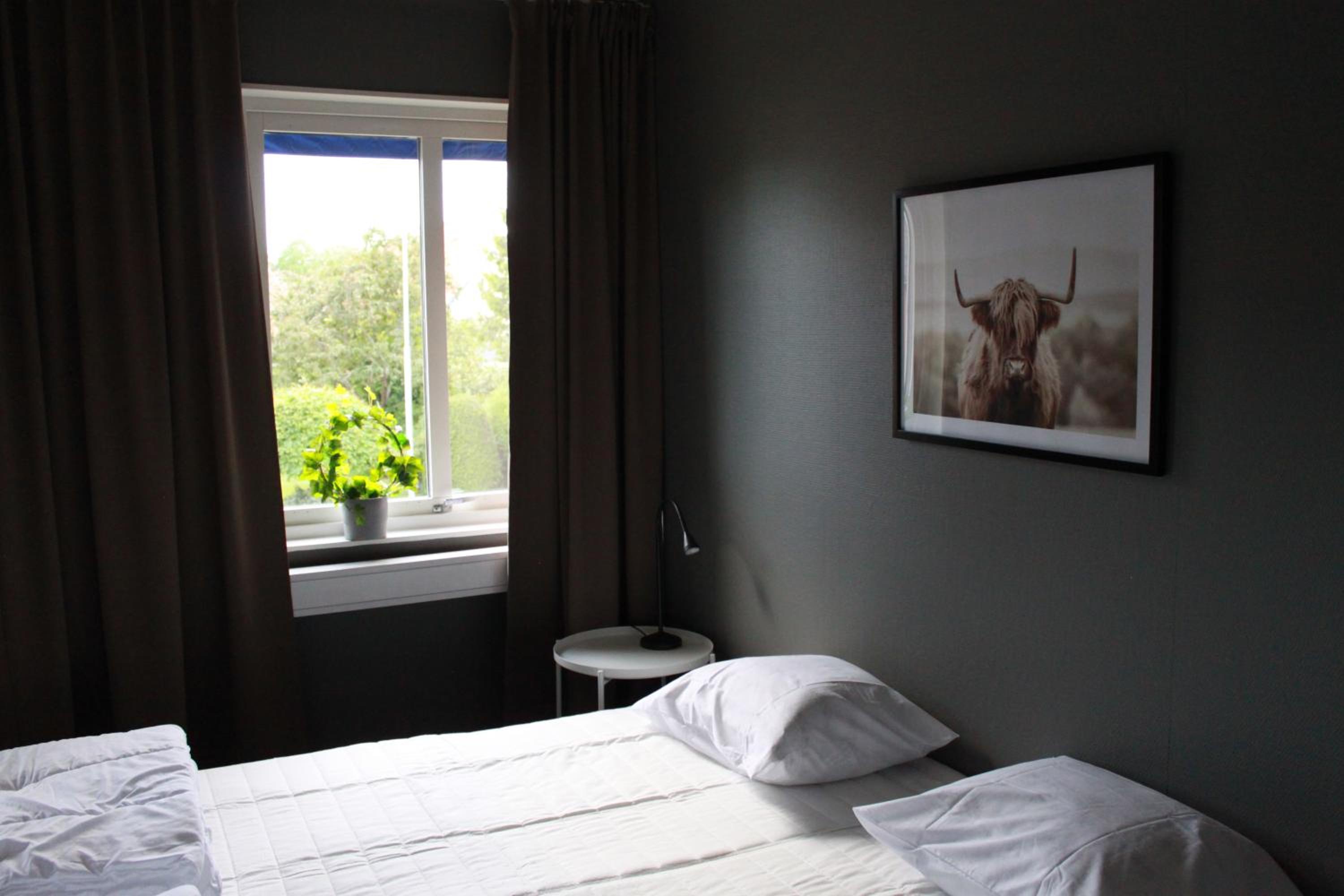 Twin Room photo 3