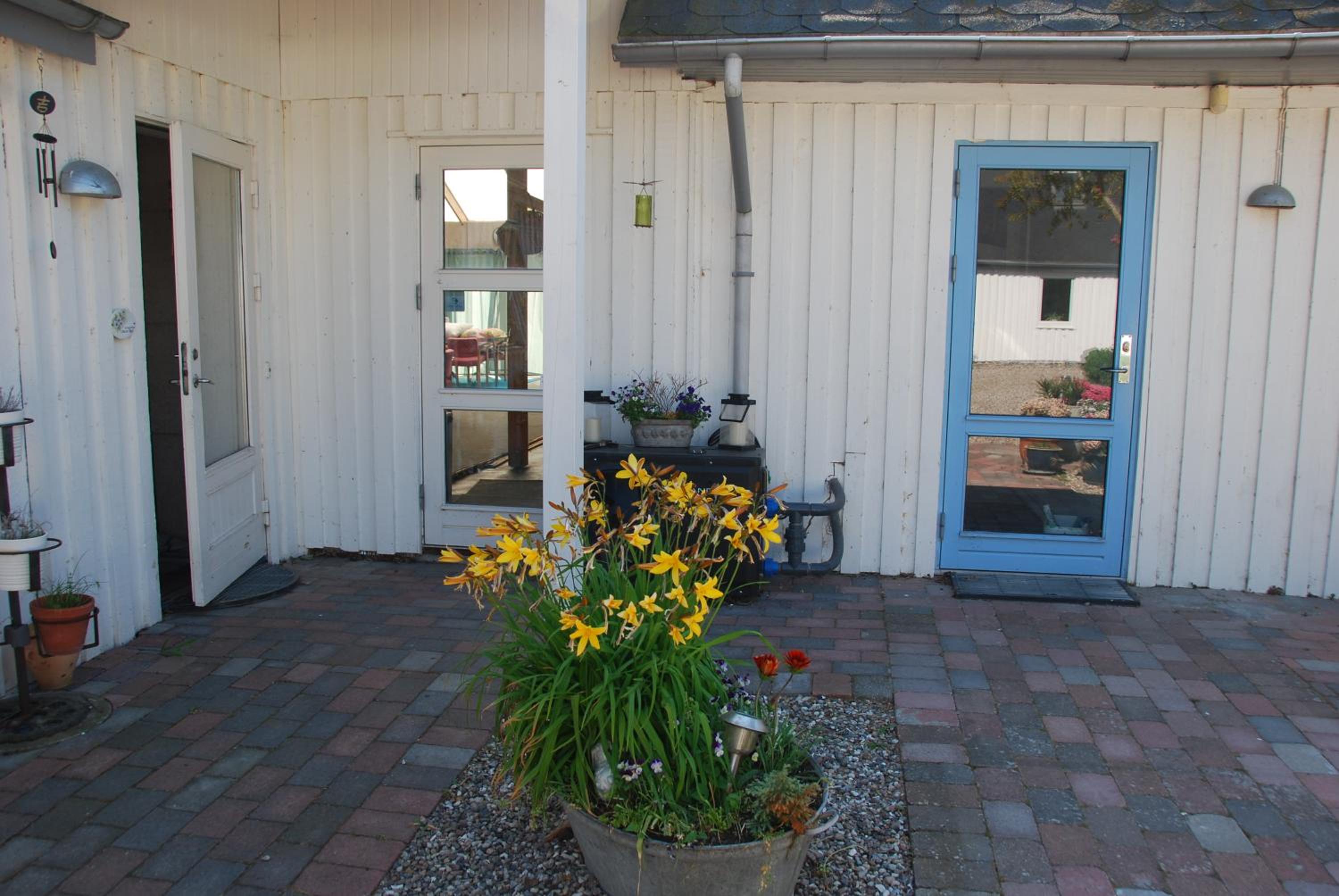 Apartment with Terrace photo 2