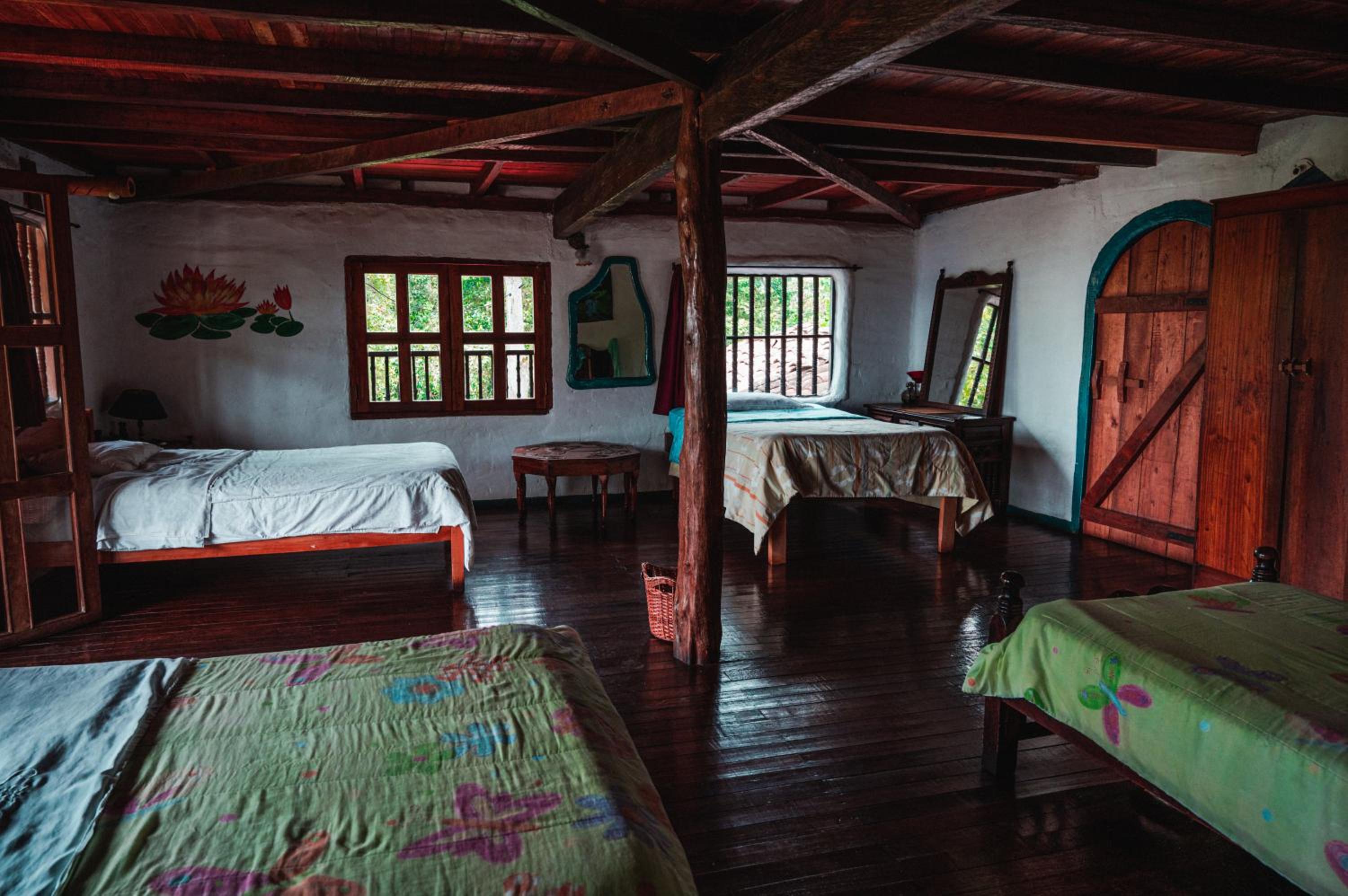Single Bed in Female Dormitory Room photo 1