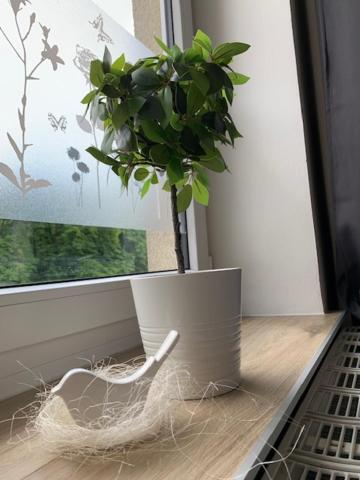 One-Bedroom Apartment - Photo 16