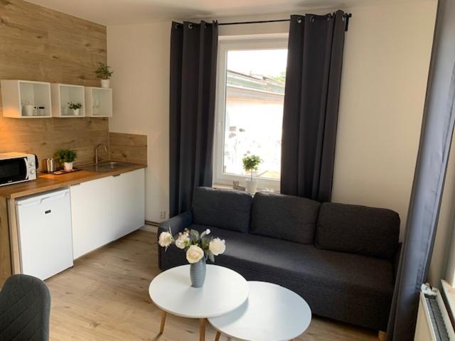 One-Bedroom Apartment - Photo 11
